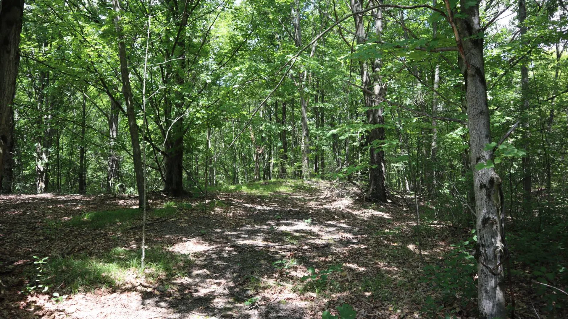 Property at 0 Shine Hill Rd, Fort Ann, NY 12827 9
