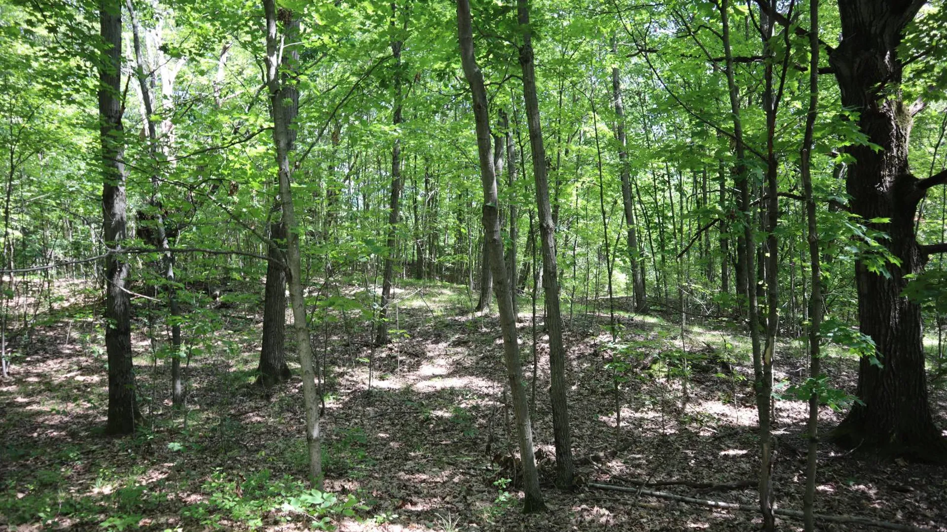 Property at 0 Shine Hill Rd, Fort Ann, NY 12827 10