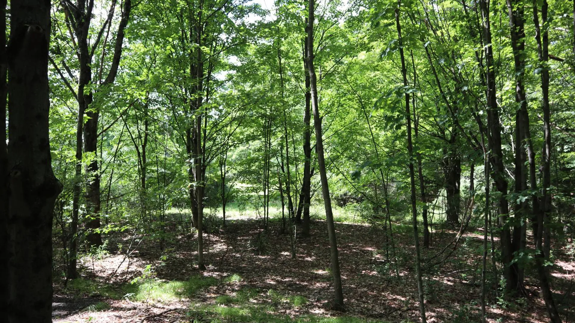 Property at 0 Shine Hill Rd, Fort Ann, NY 12827 11