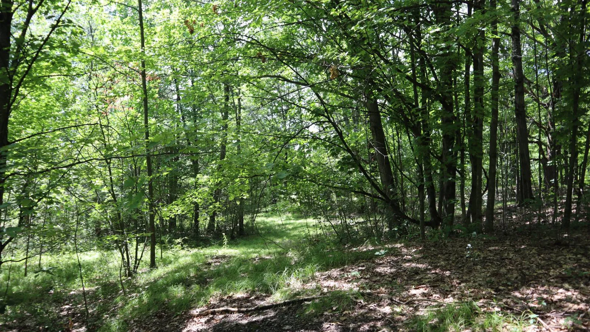 Property at 0 Shine Hill Rd, Fort Ann, NY 12827 12