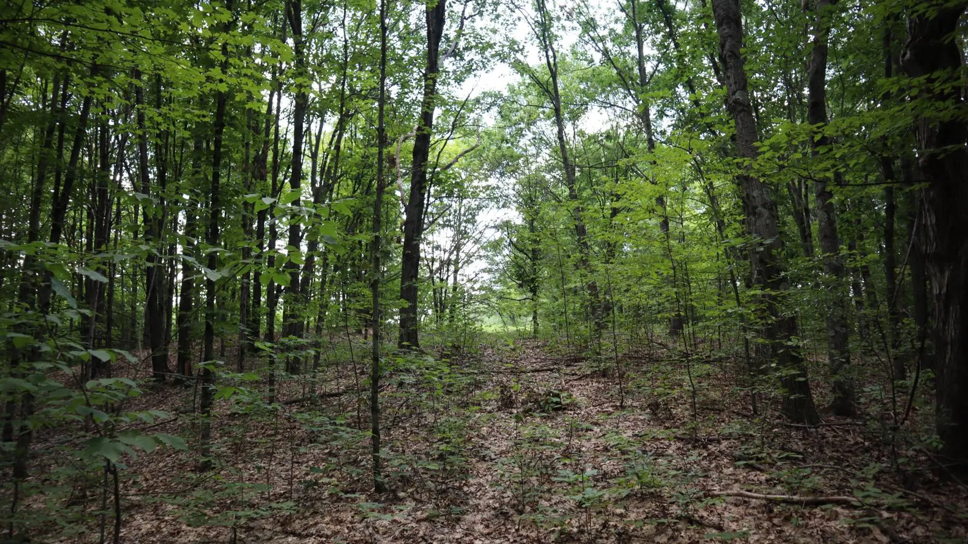 Property at 0 Shine Hill Rd, Fort Ann, NY 12827 17