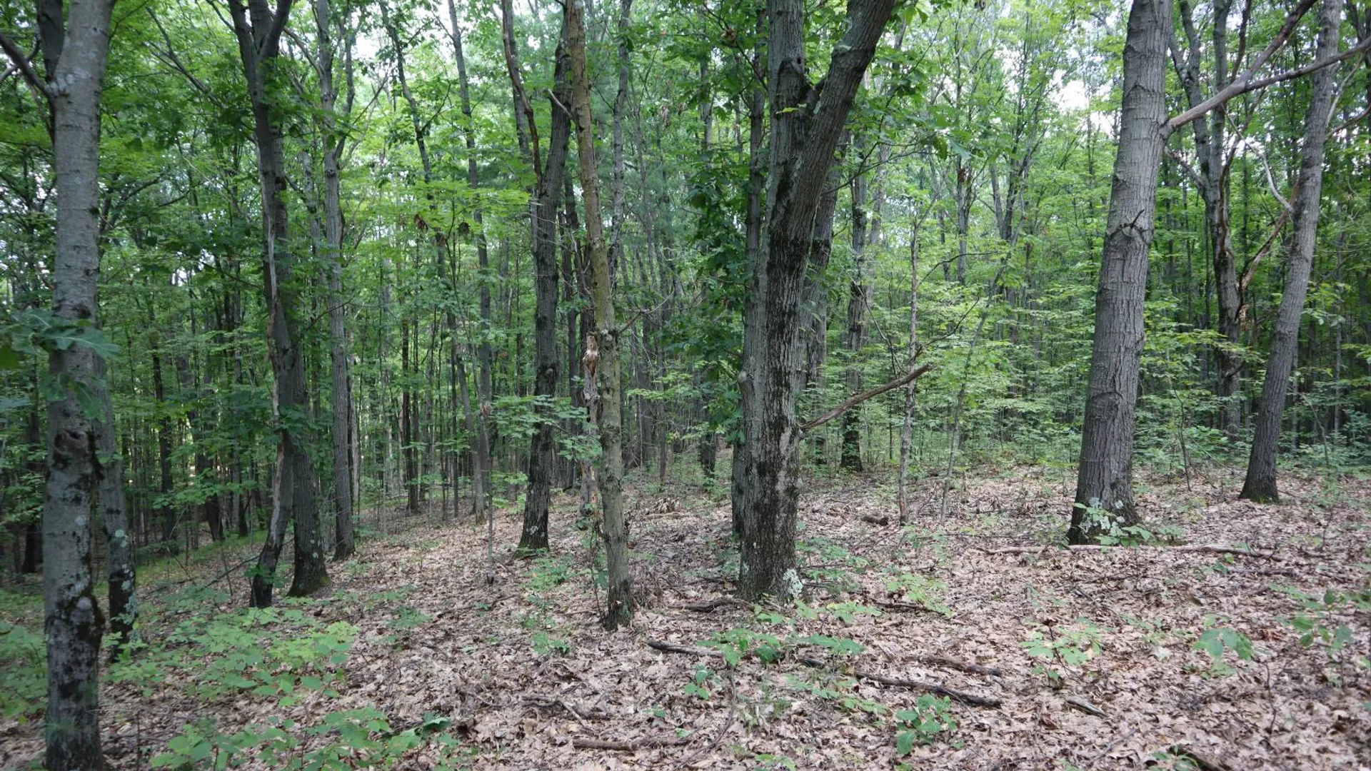 Property at 0 Shine Hill Rd, Fort Ann, NY 12827 19