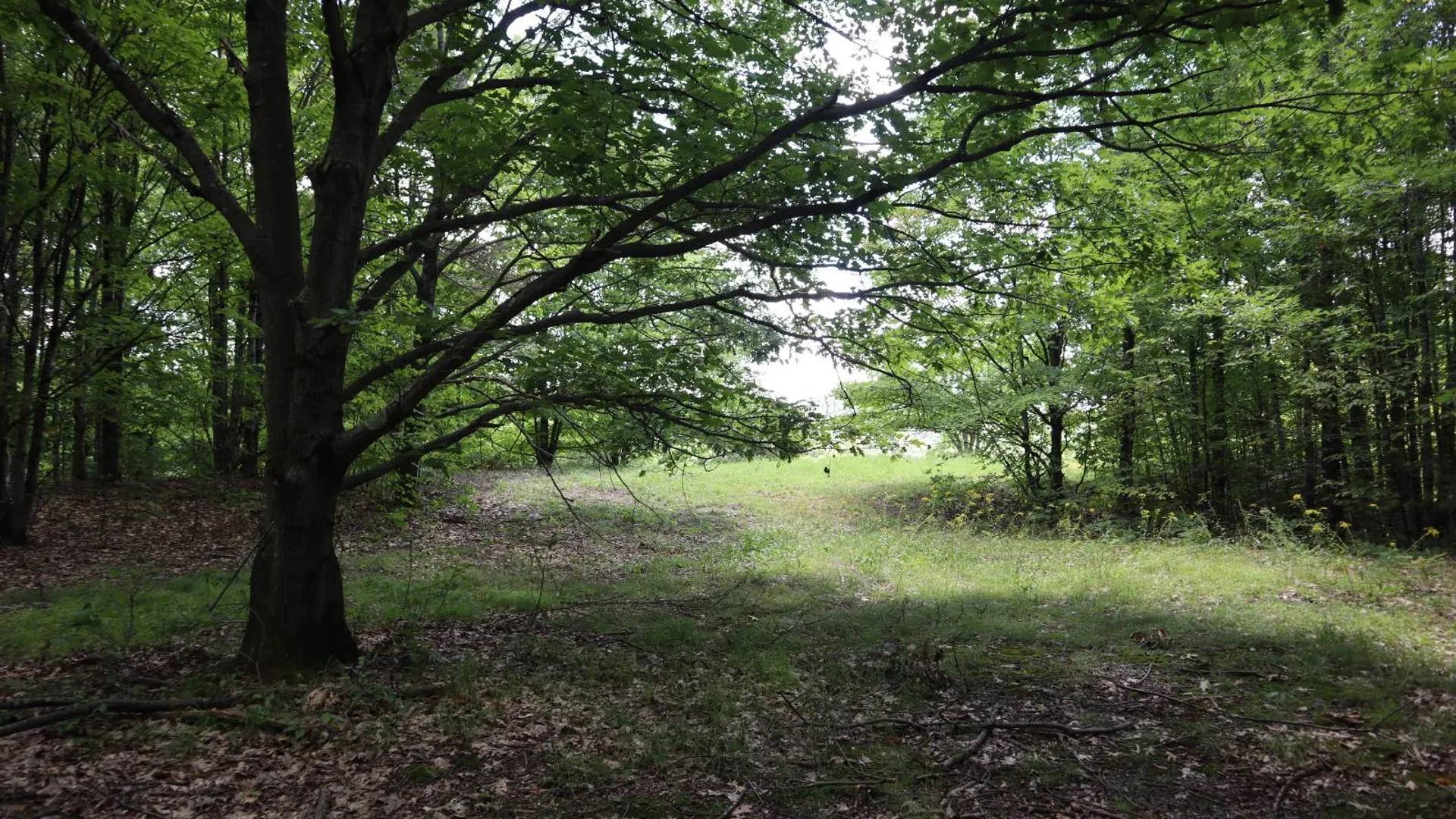 Property at 0 Shine Hill Rd, Fort Ann, NY 12827 20
