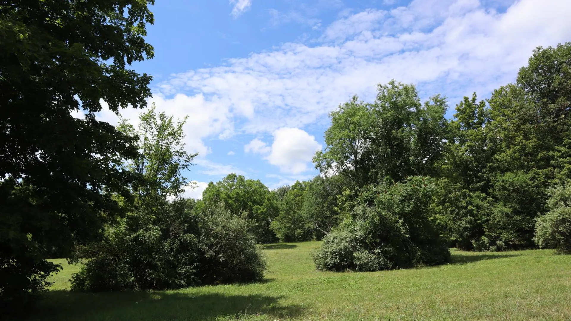 Property at 0 Shine Hill Rd, Fort Ann, NY 12827 21