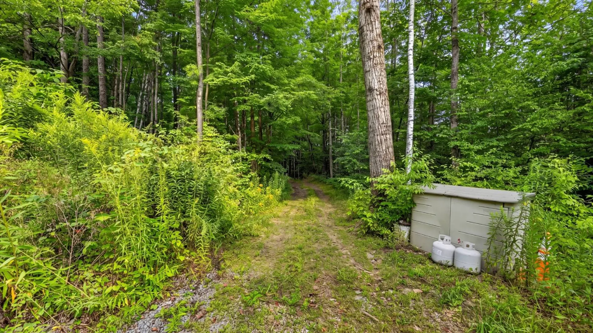 Property at 149 Duck Farm Rd, Worcester, NY 12197 59
