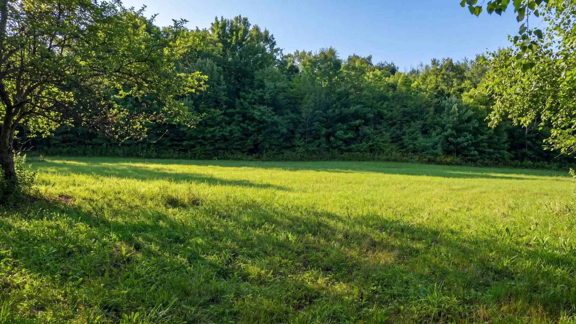 Property at 149 Duck Farm Rd, Worcester, NY 12197 66