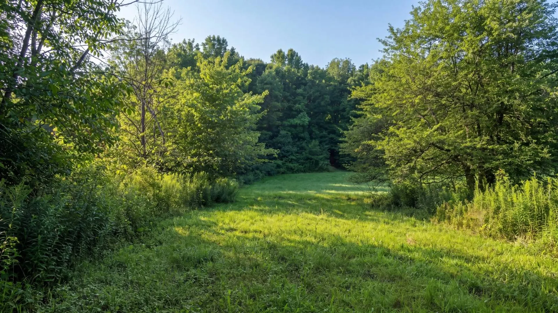 Property at 149 Duck Farm Rd, Worcester, NY 12197 5