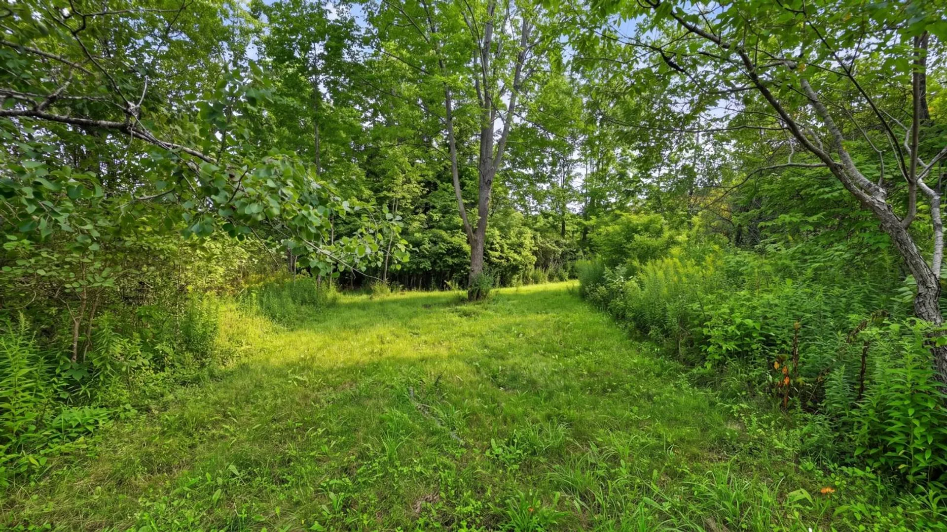 Property at 149 Duck Farm Rd, Worcester, NY 12197 71