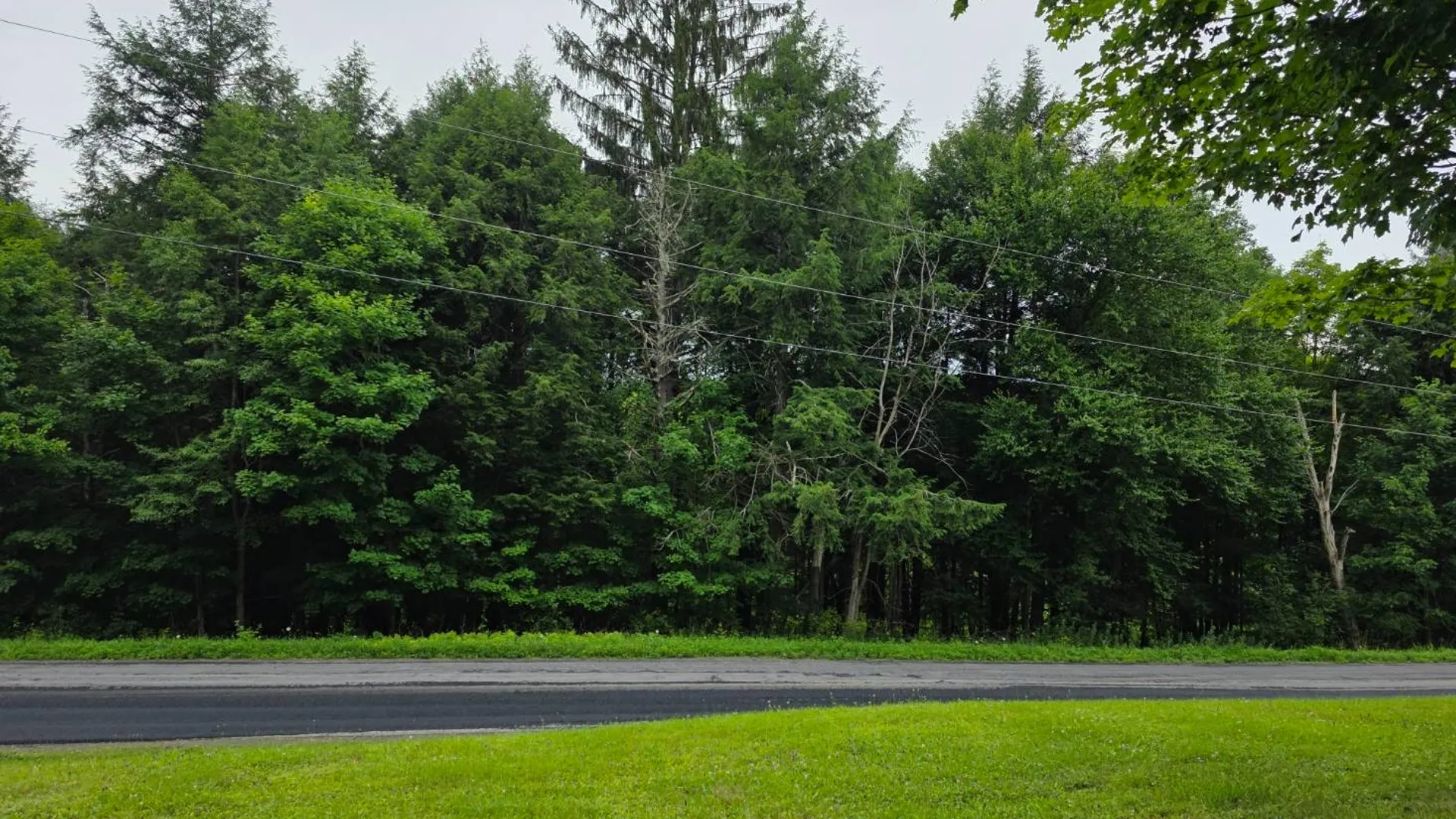Property at 762 COUNTY HIGHWAY 16, MOUNT VISION, NY 13810 45