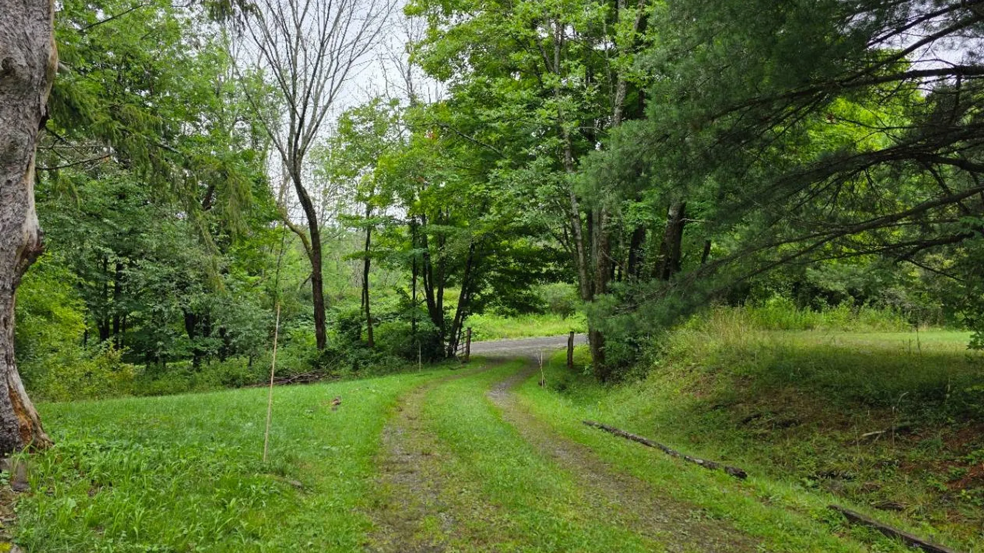 Property at 762 COUNTY HIGHWAY 16, MOUNT VISION, NY 13810 40
