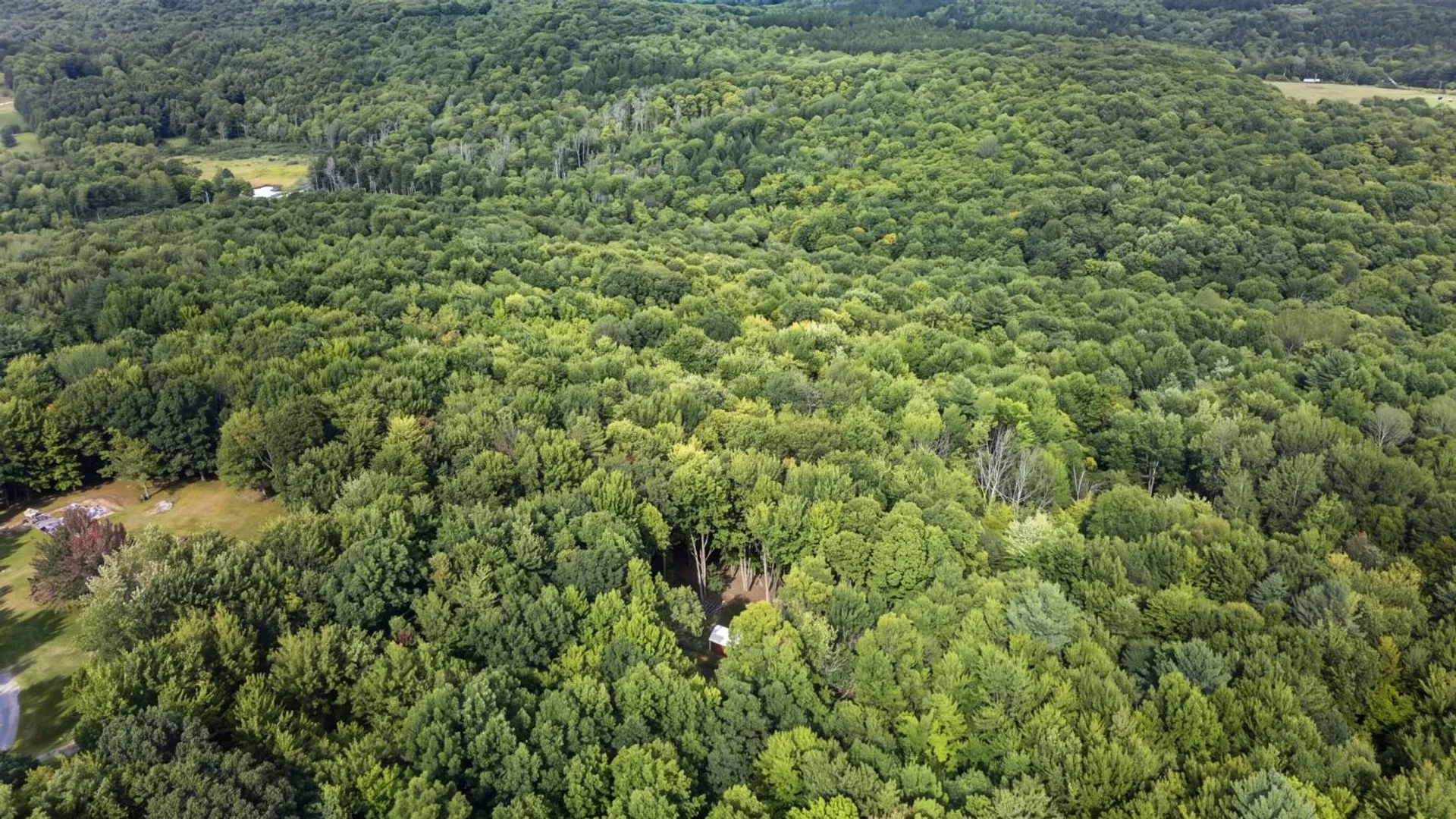 Property at 198 Otte Rd, Fulton, NY 12149 26