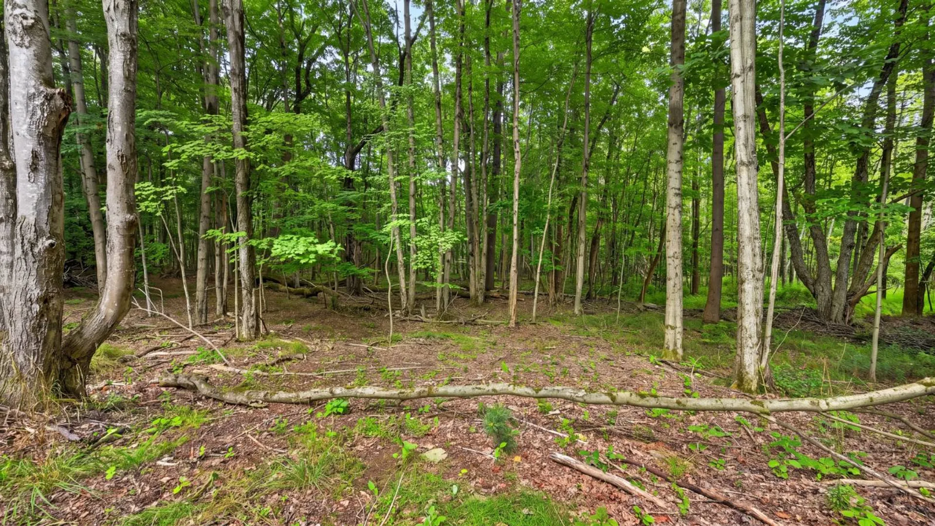 Property at 198 Otte Rd, Fulton, NY 12149 35