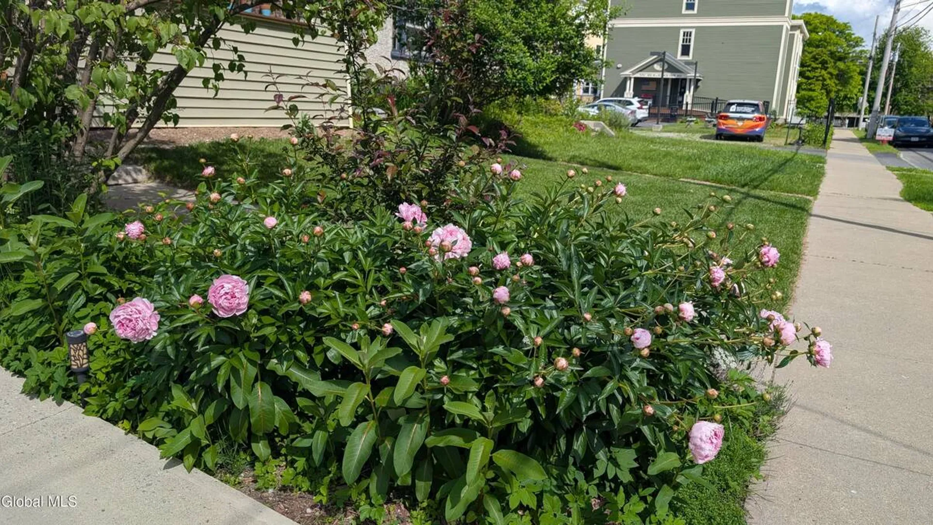 Property at 521 Mercer Street, Albany, NY 12208 43