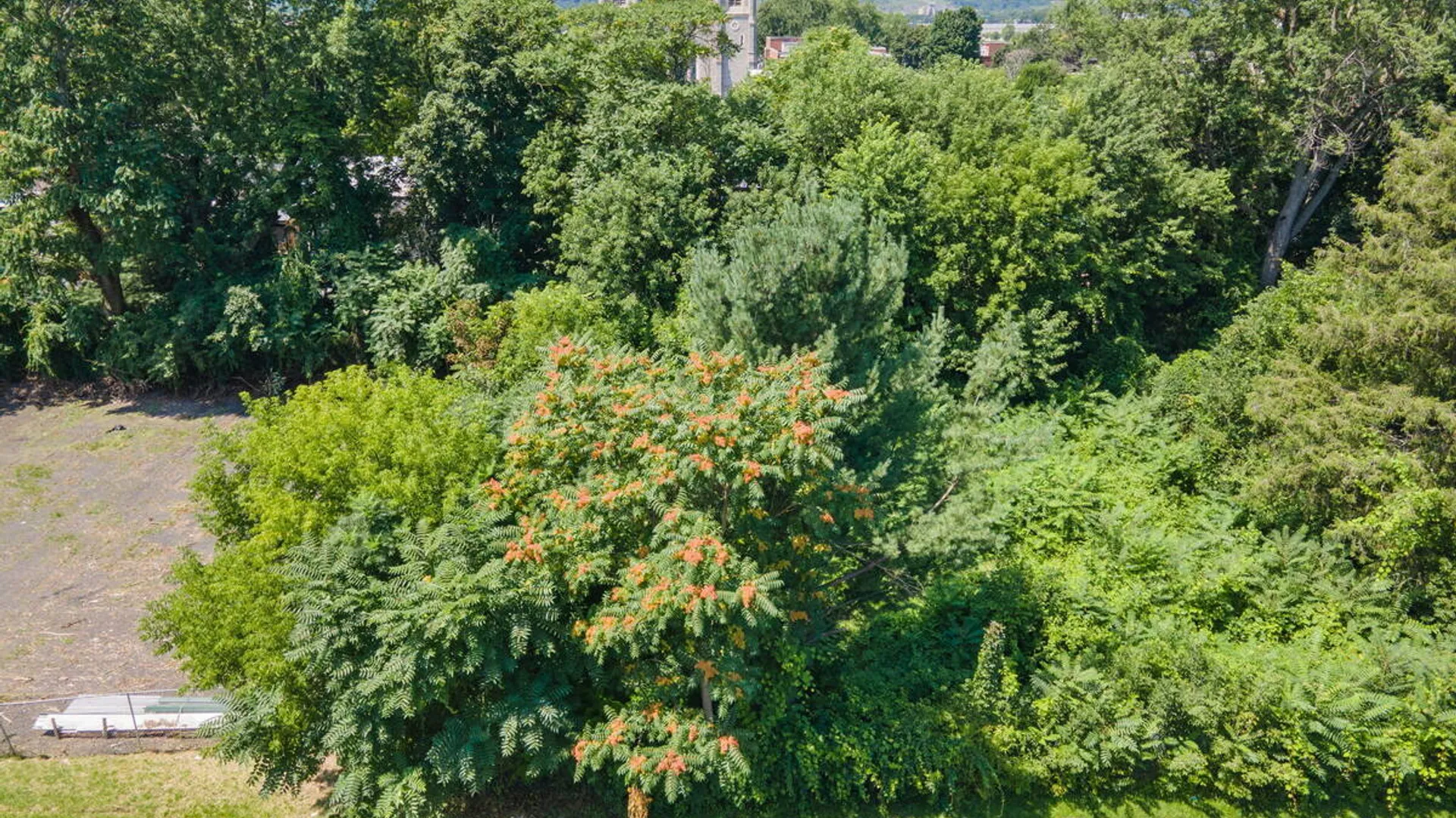 Property at 11 Orr Street, Troy, NY 12180 7