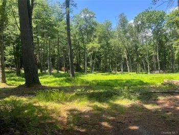 Property at 0 Geba Dr, Glen Spey, NY 12737