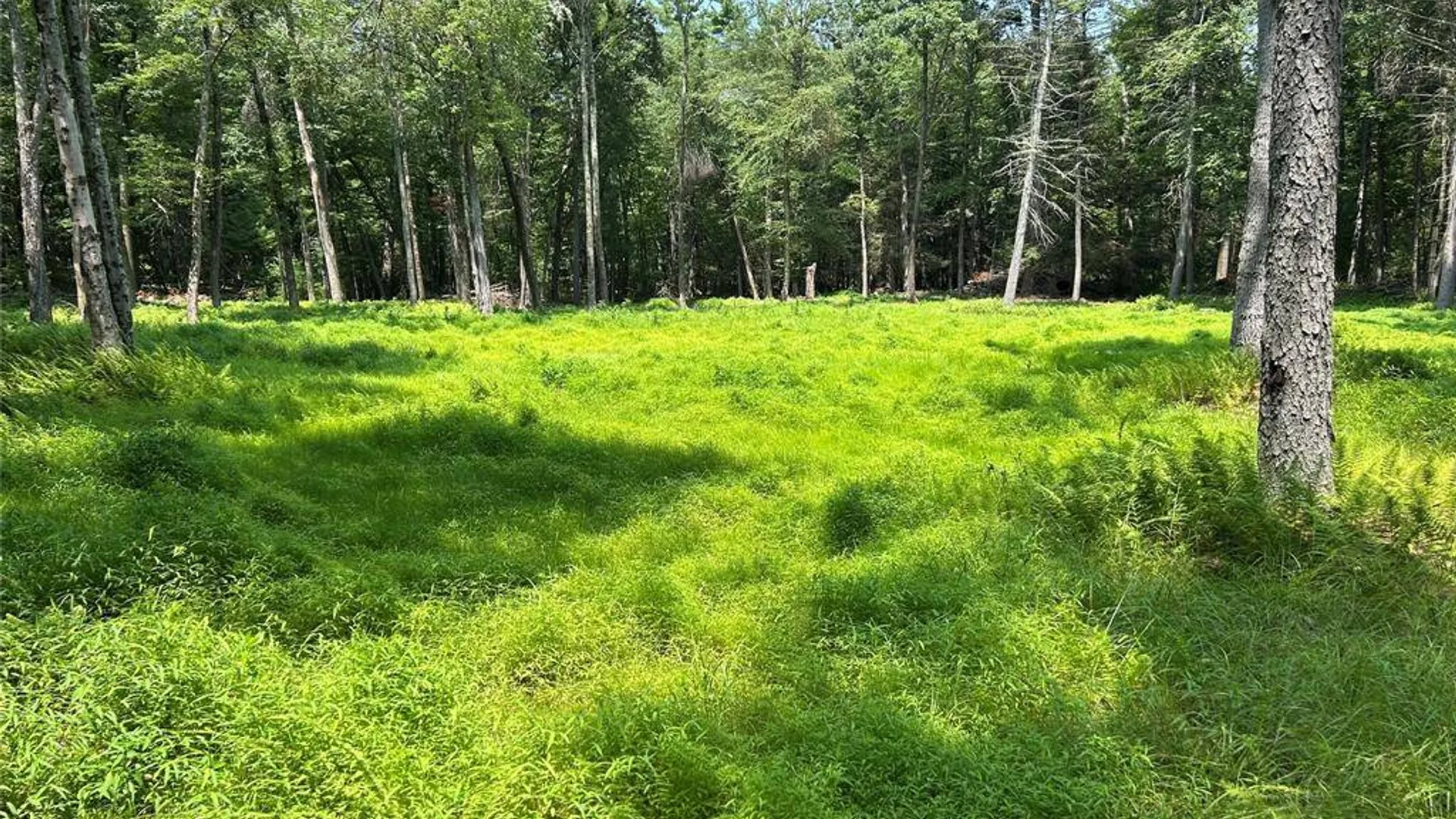 Property at 0 Geba Dr, Glen Spey, NY 12737 3