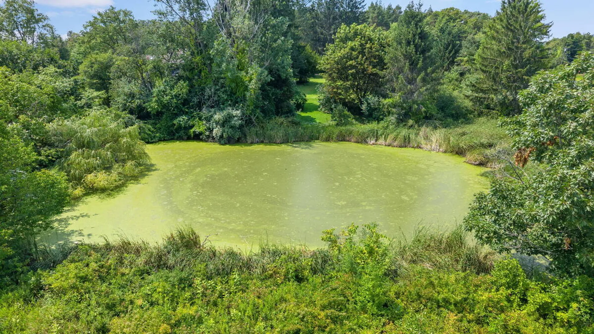 Property at 159 Currybush Connection, Rotterdam, NY 12306 87