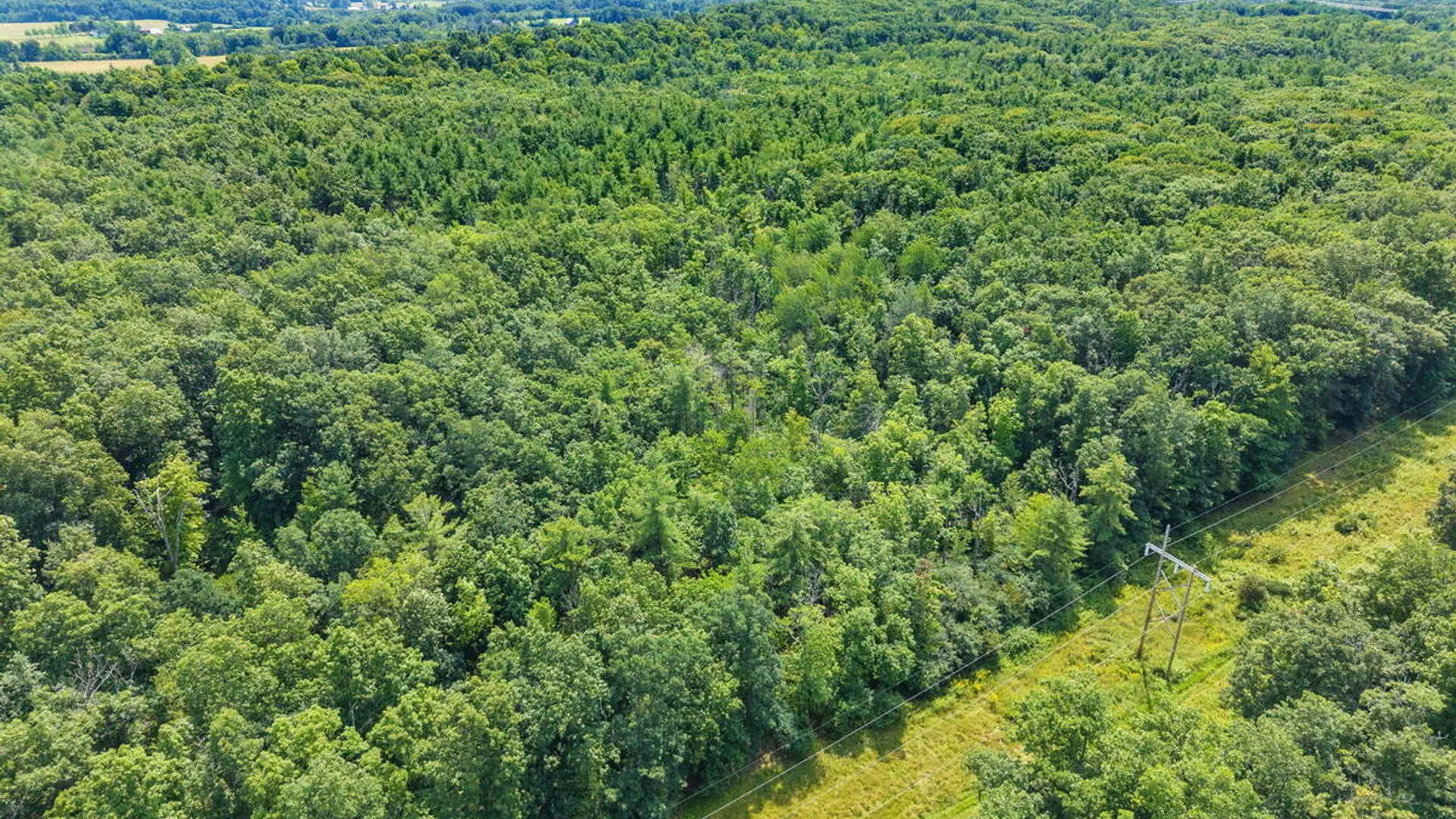 Property at 159 Currybush Connection, Rotterdam, NY 12306 93