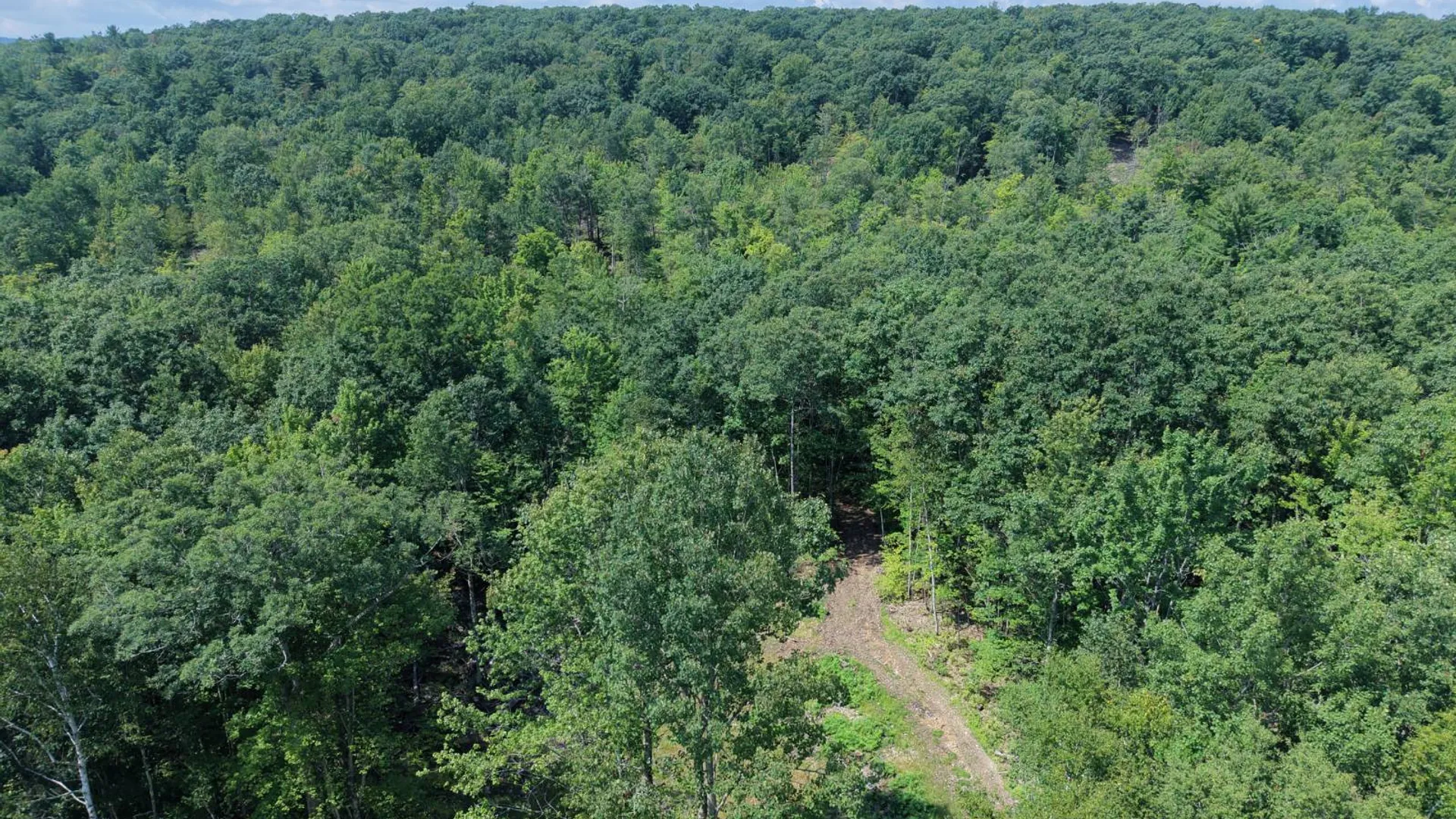 Property at TBD Delaware County Rd 11, West Davenport, NY 13751 3