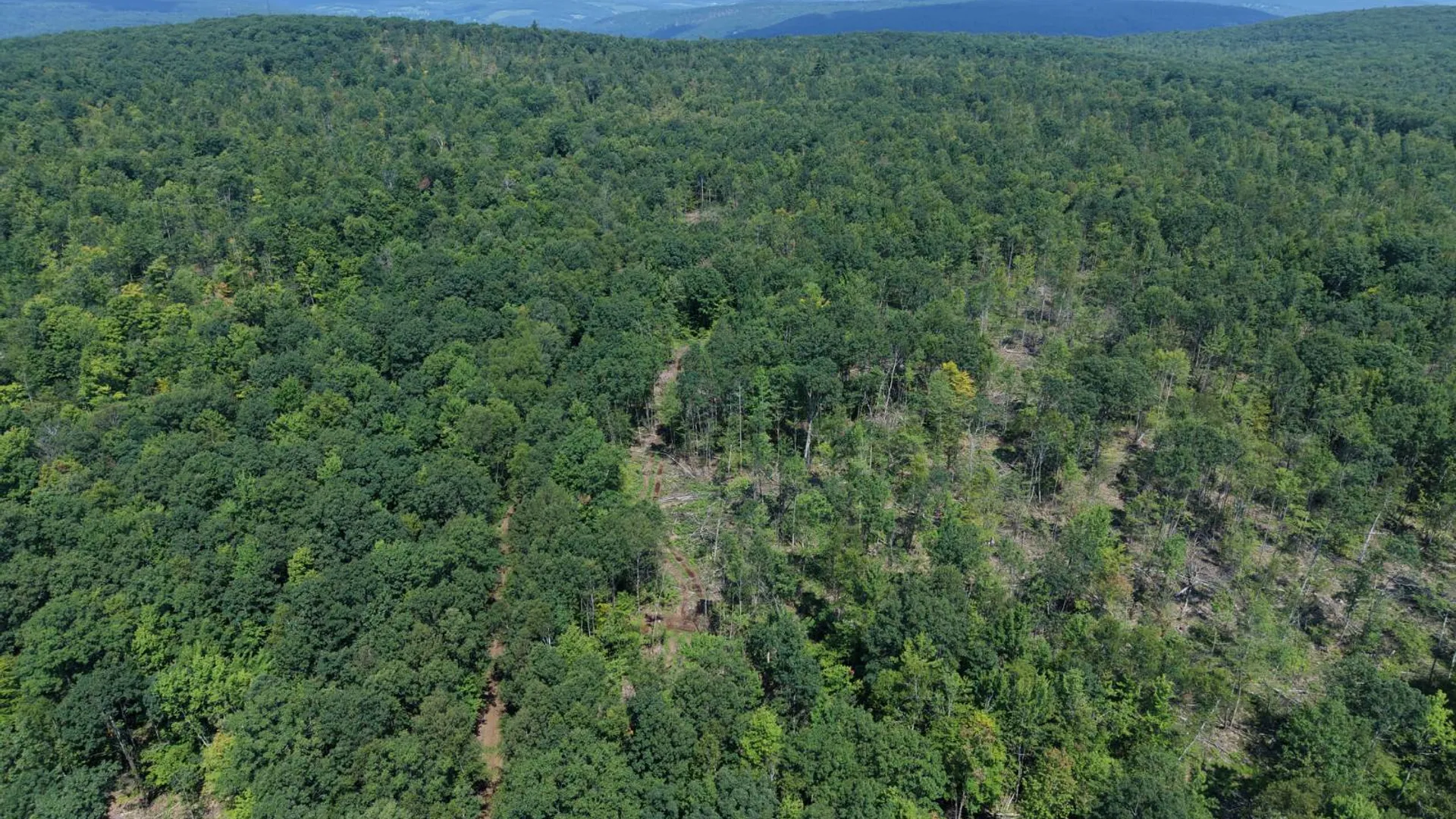 Property at TBD Delaware County Rd 11, West Davenport, NY 13751 4