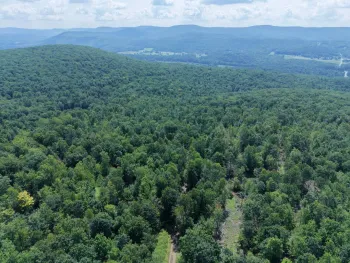 Property at TBD Delaware County Rd 11, West Davenport, NY 13751