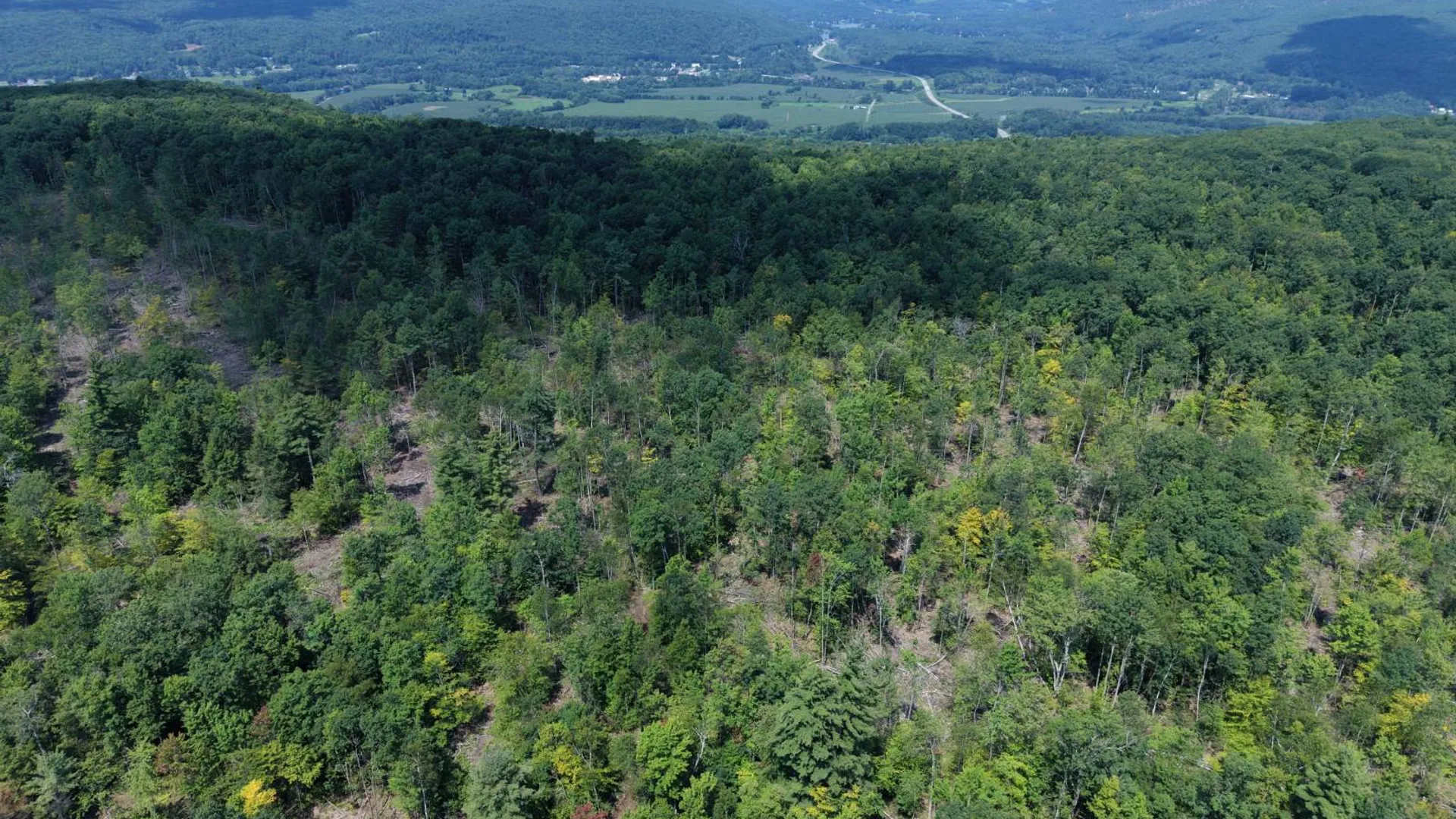 Property at TBD Delaware County Rd 11, West Davenport, NY 13751 7