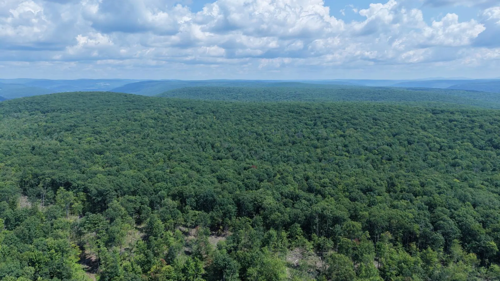 Property at TBD Delaware County Rd 11, West Davenport, NY 13751 8