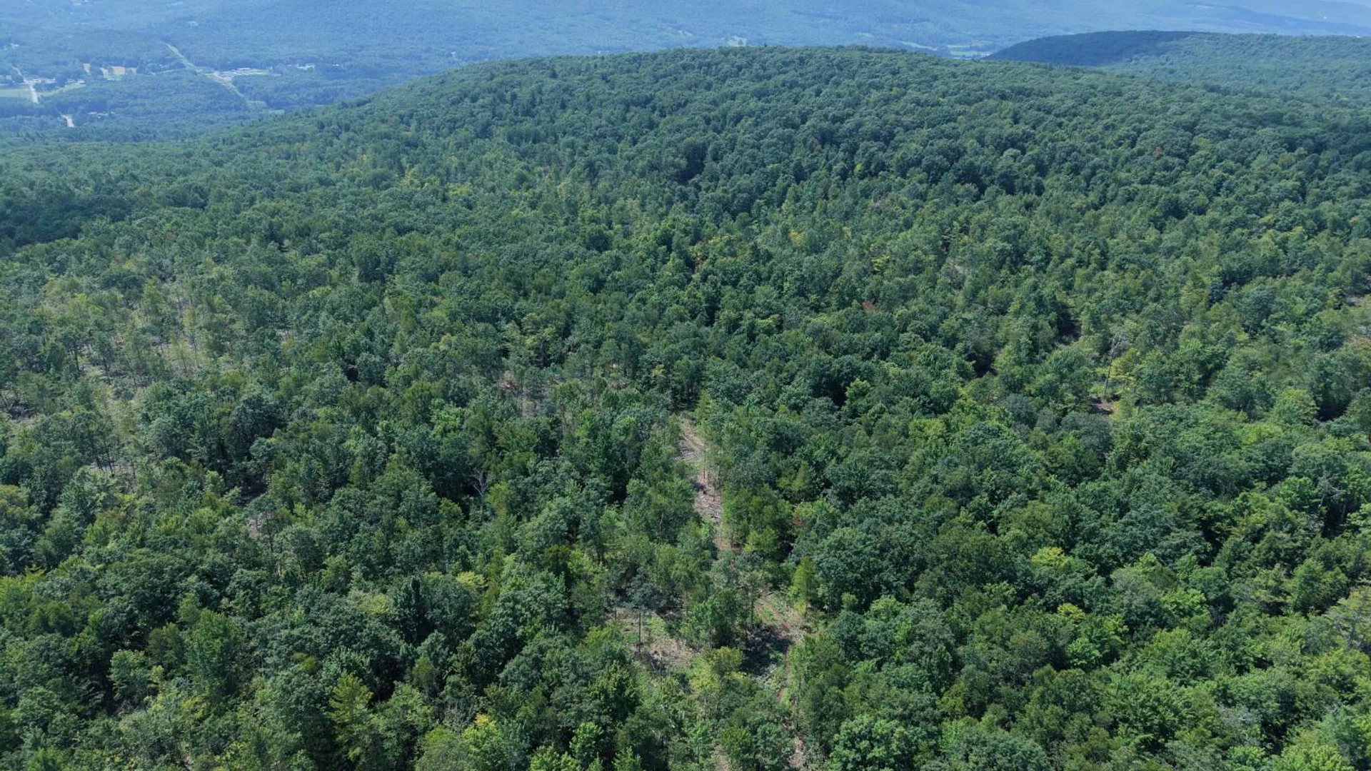 Property at TBD Delaware County Rd 11, West Davenport, NY 13751 9