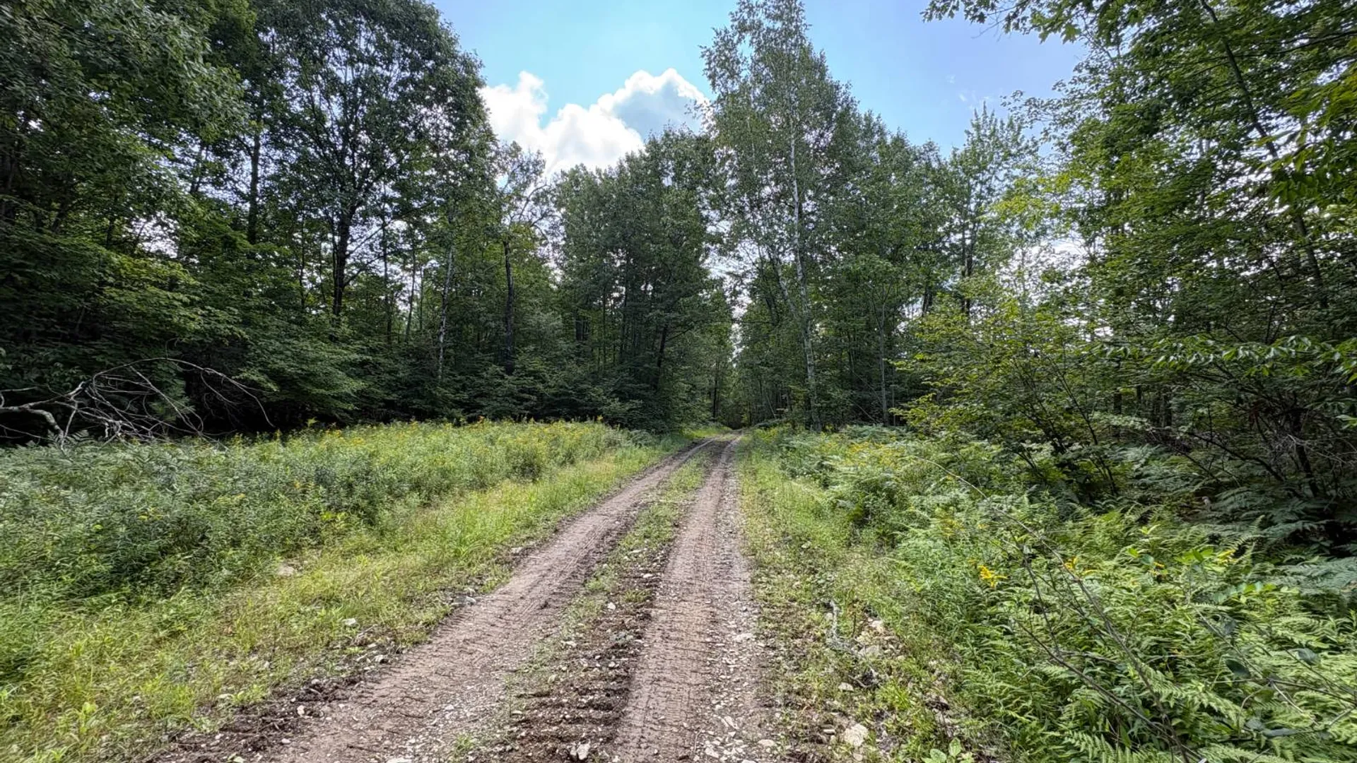 Property at TBD Delaware County Rd 11, West Davenport, NY 13751 12