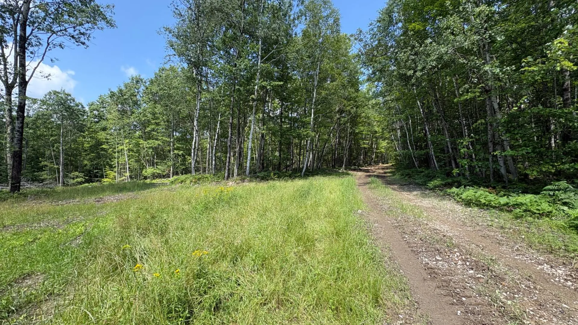 Property at TBD Delaware County Rd 11, West Davenport, NY 13751 13