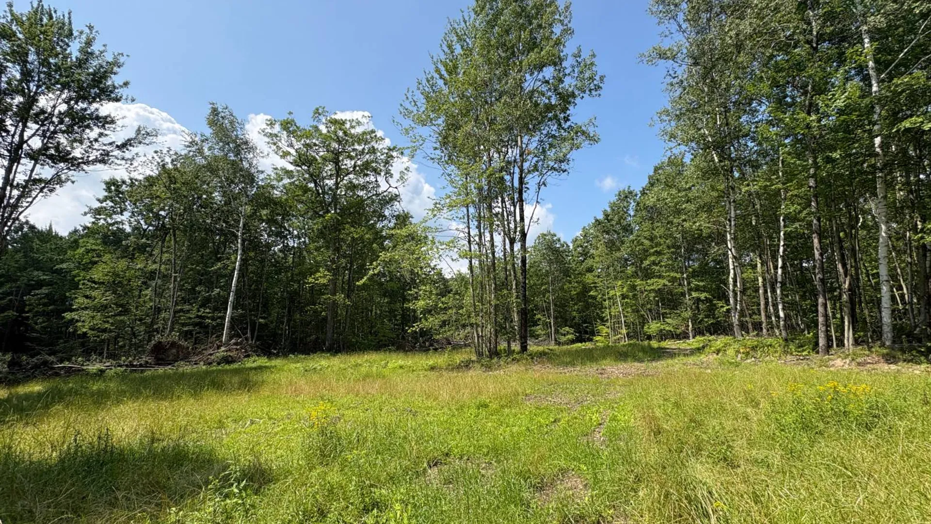 Property at TBD Delaware County Rd 11, West Davenport, NY 13751 14