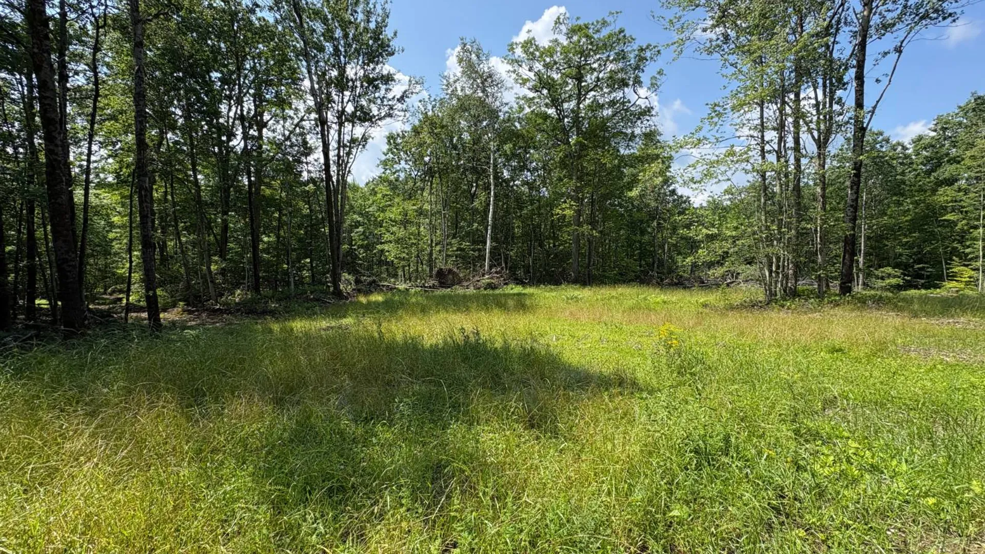 Property at TBD Delaware County Rd 11, West Davenport, NY 13751 15