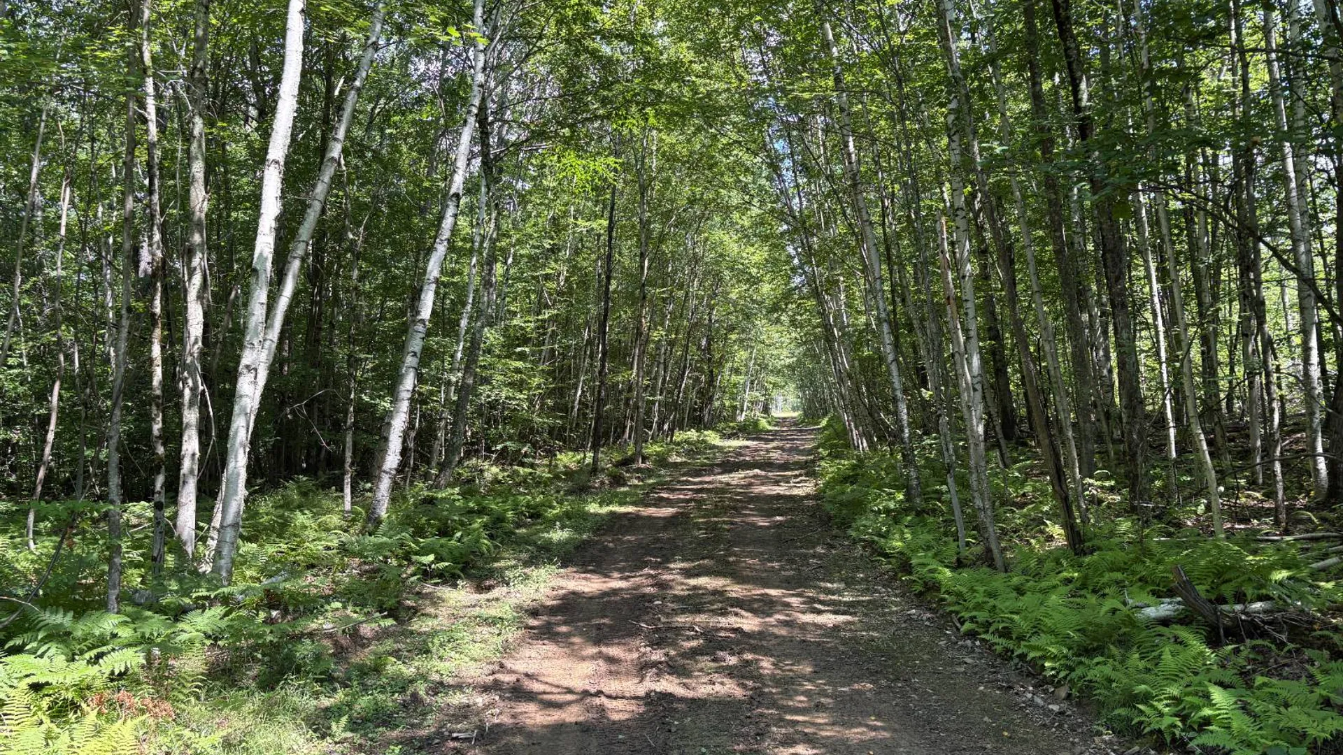 Property at TBD Delaware County Rd 11, West Davenport, NY 13751 16