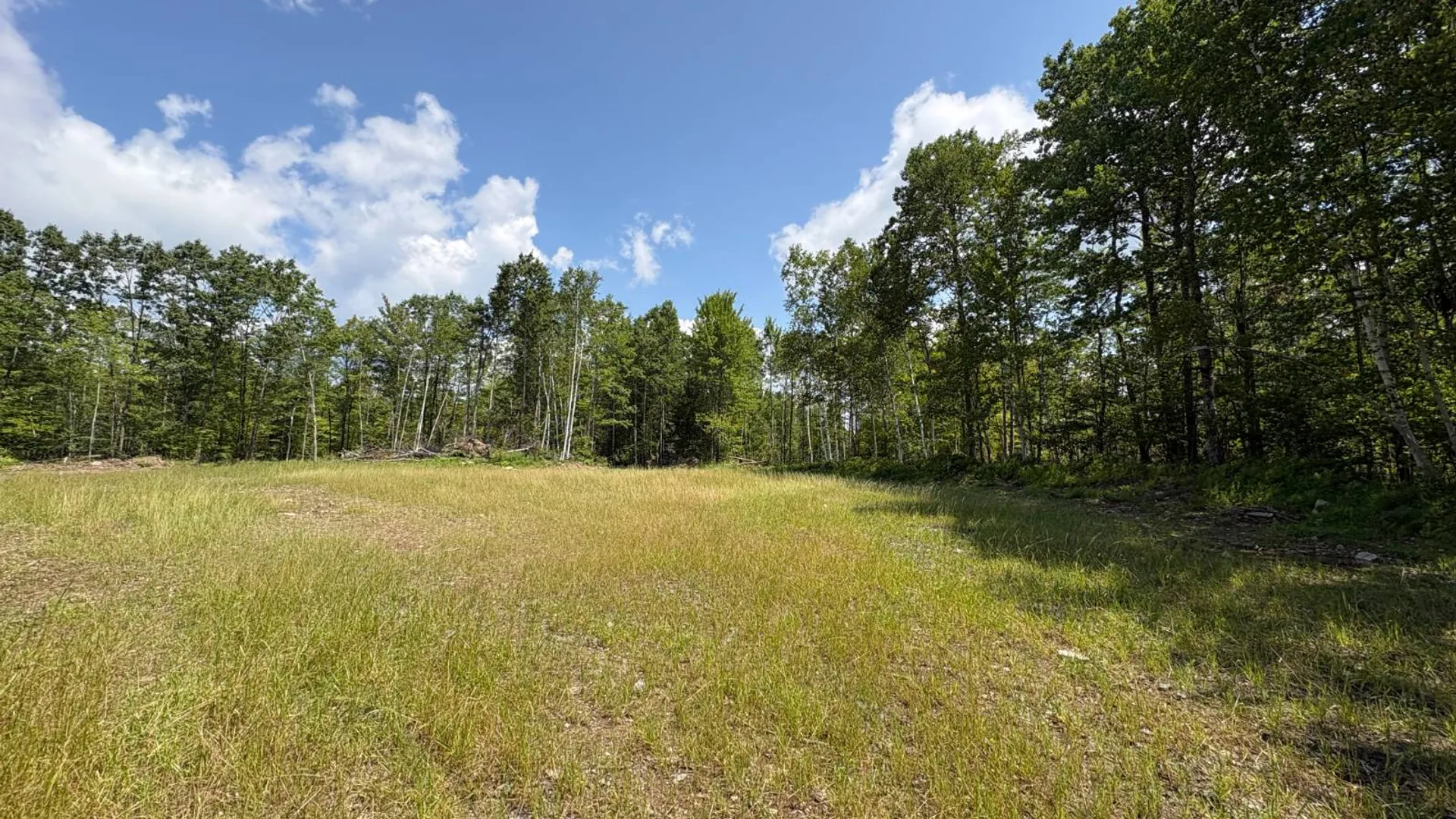 Property at TBD Delaware County Rd 11, West Davenport, NY 13751 17