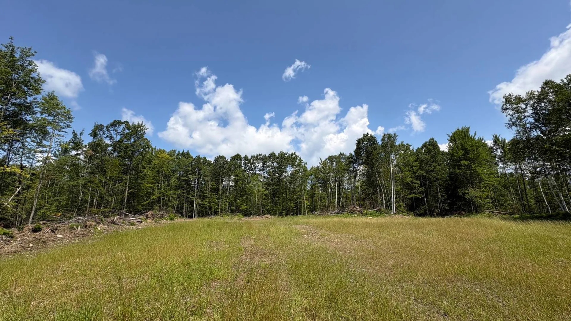 Property at TBD Delaware County Rd 11, West Davenport, NY 13751 18