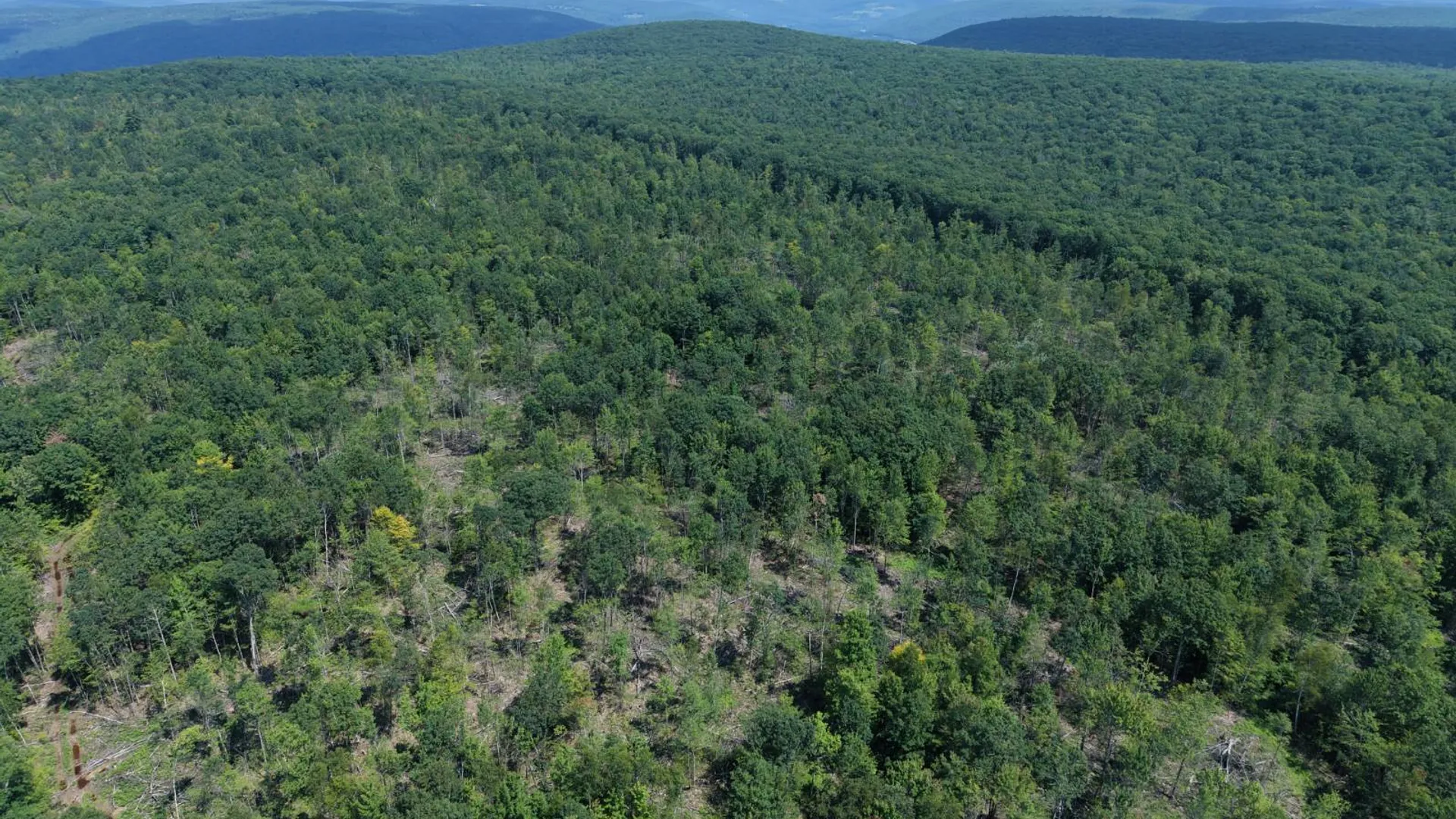 Property at TBD Delaware County Rd 11, West Davenport, NY 13751 19