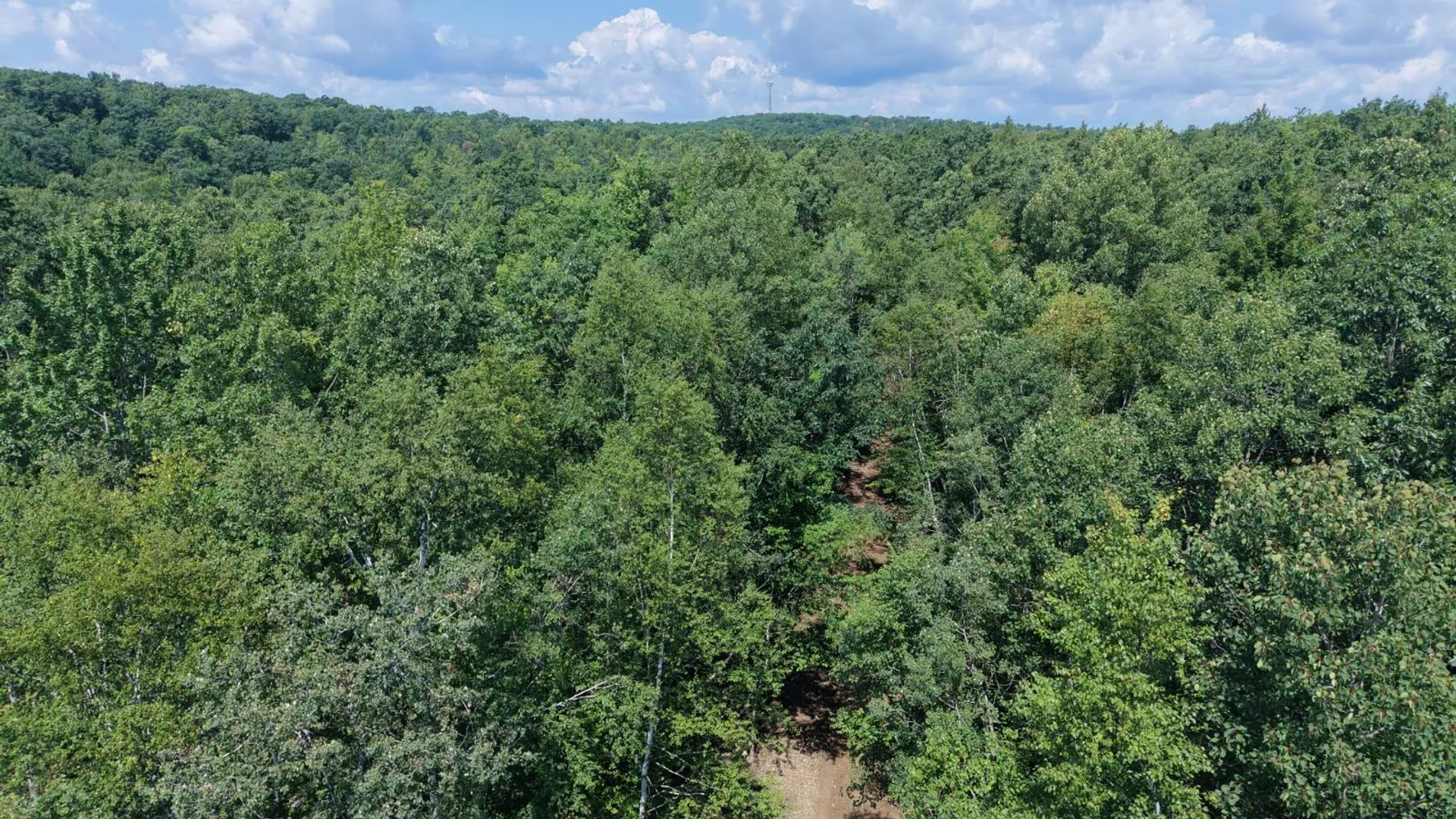Property at TBD Delaware County Rd 11, West Davenport, NY 13751 20
