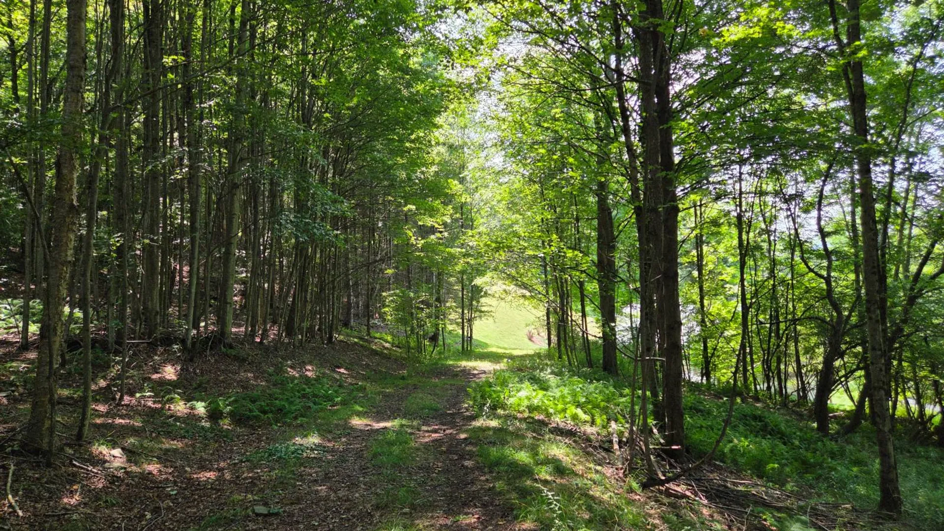 Property at 3360 County Highway 1, Andes, NY 13731 39