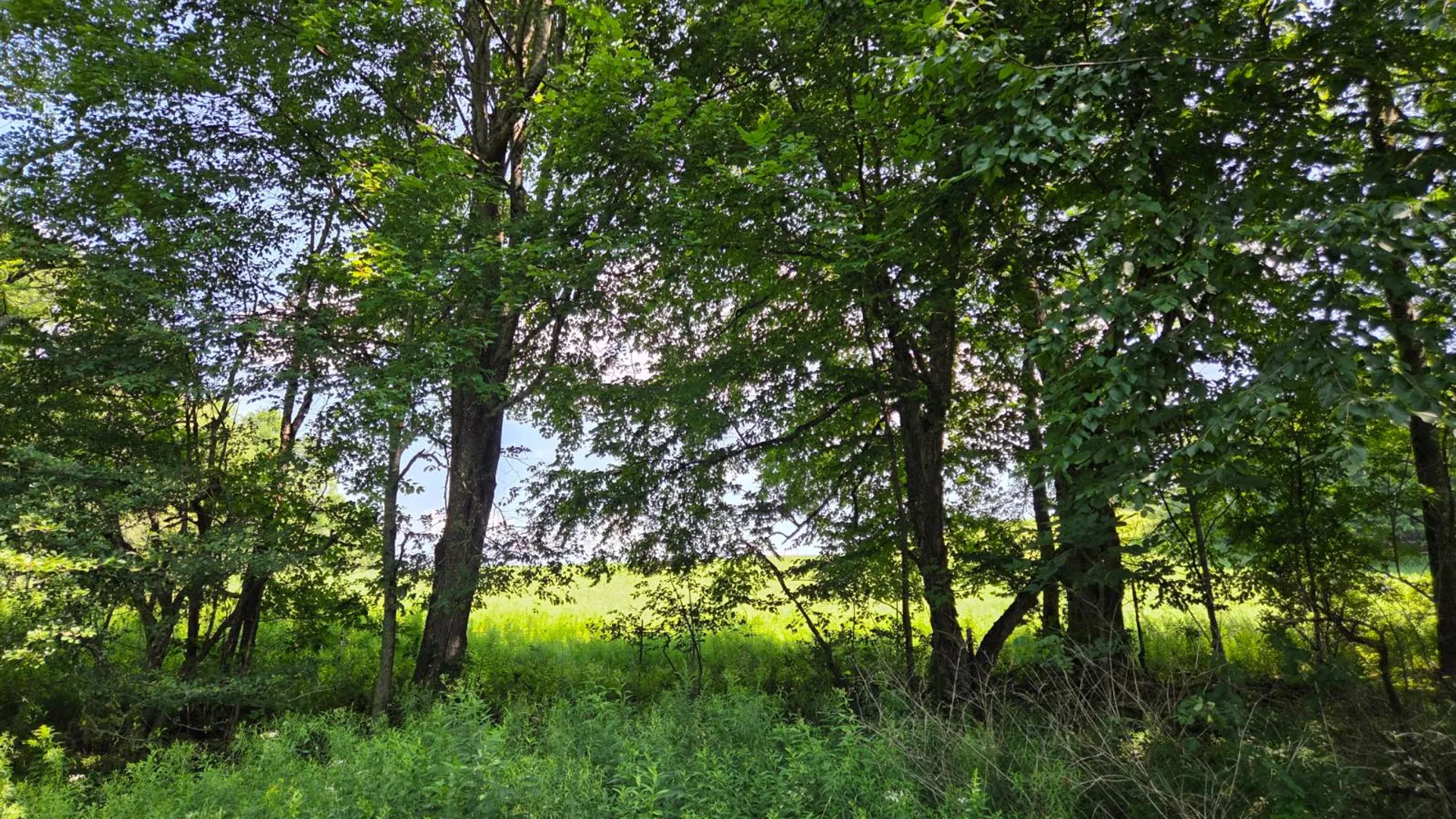 Property at 3360 County Highway 1, Andes, NY 13731 41