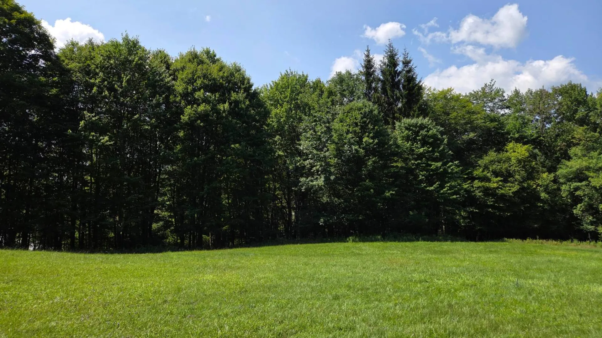 Property at 3360 County Highway 1, Andes, NY 13731 40