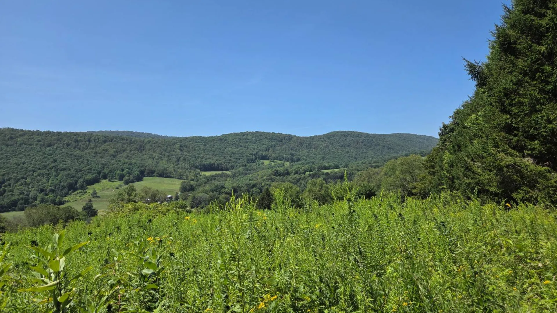 Property at 3360 County Highway 1, Andes, NY 13731 42