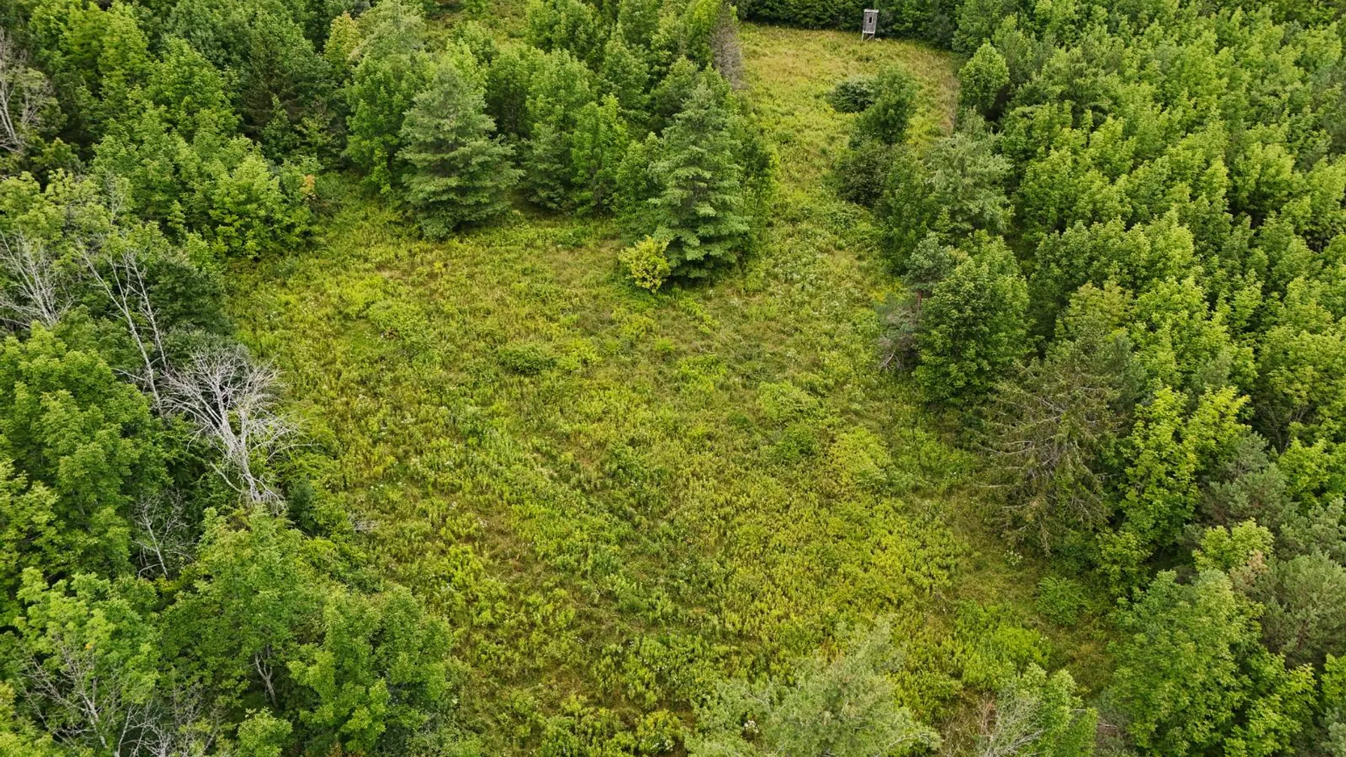Property at 1WTP Roney Rd, Preston Hollow, NY 12469 10