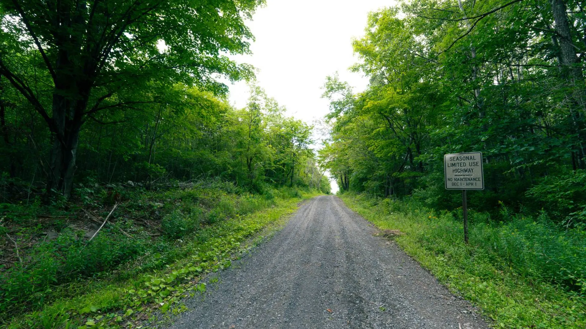 Property at 1WTP Roney Rd, Preston Hollow, NY 12469 16