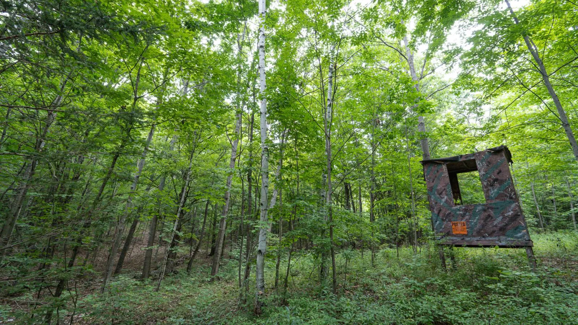 Property at 1WTP Roney Rd, Preston Hollow, NY 12469 23