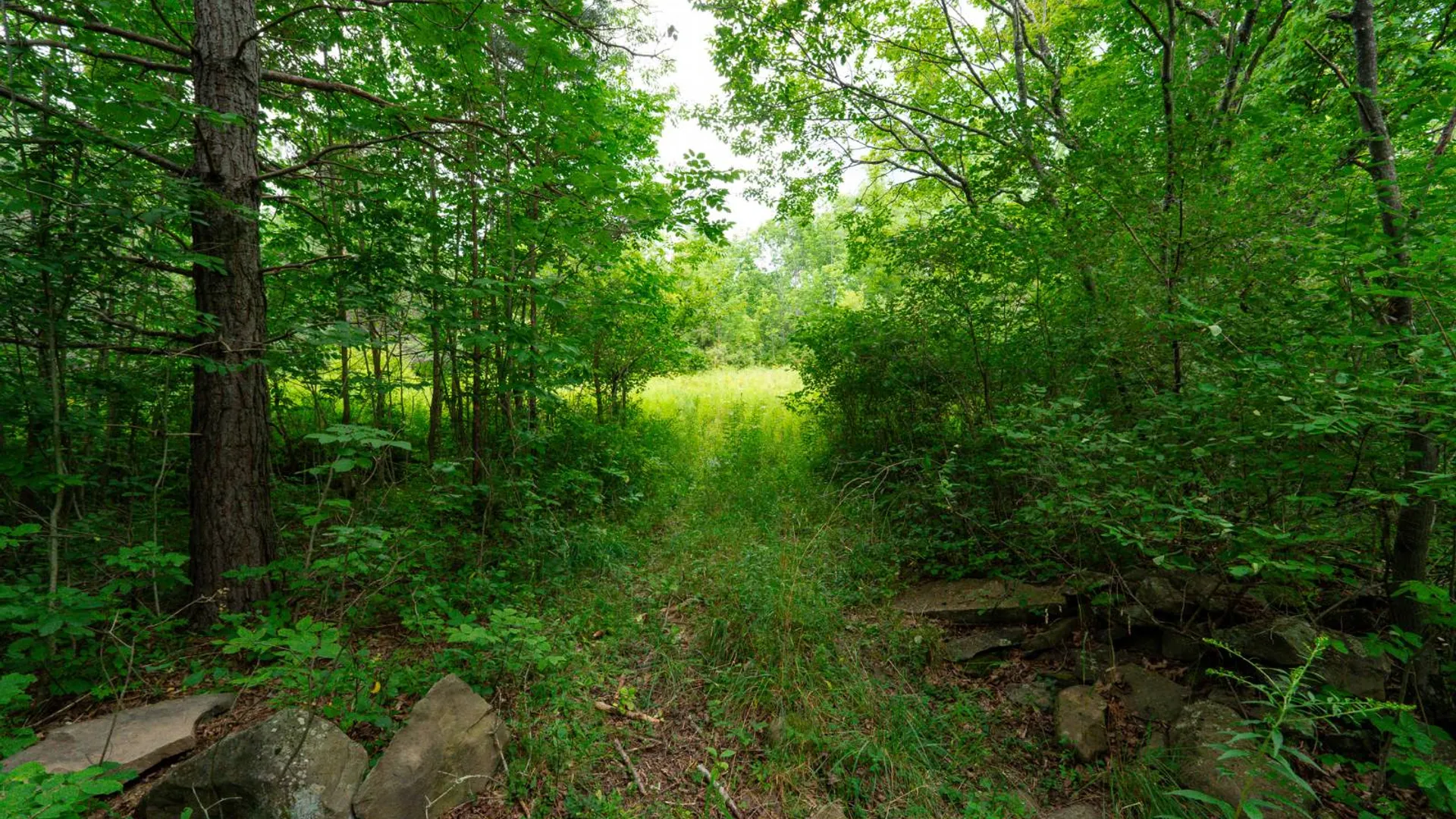 Property at 1WTP Roney Rd, Preston Hollow, NY 12469 45