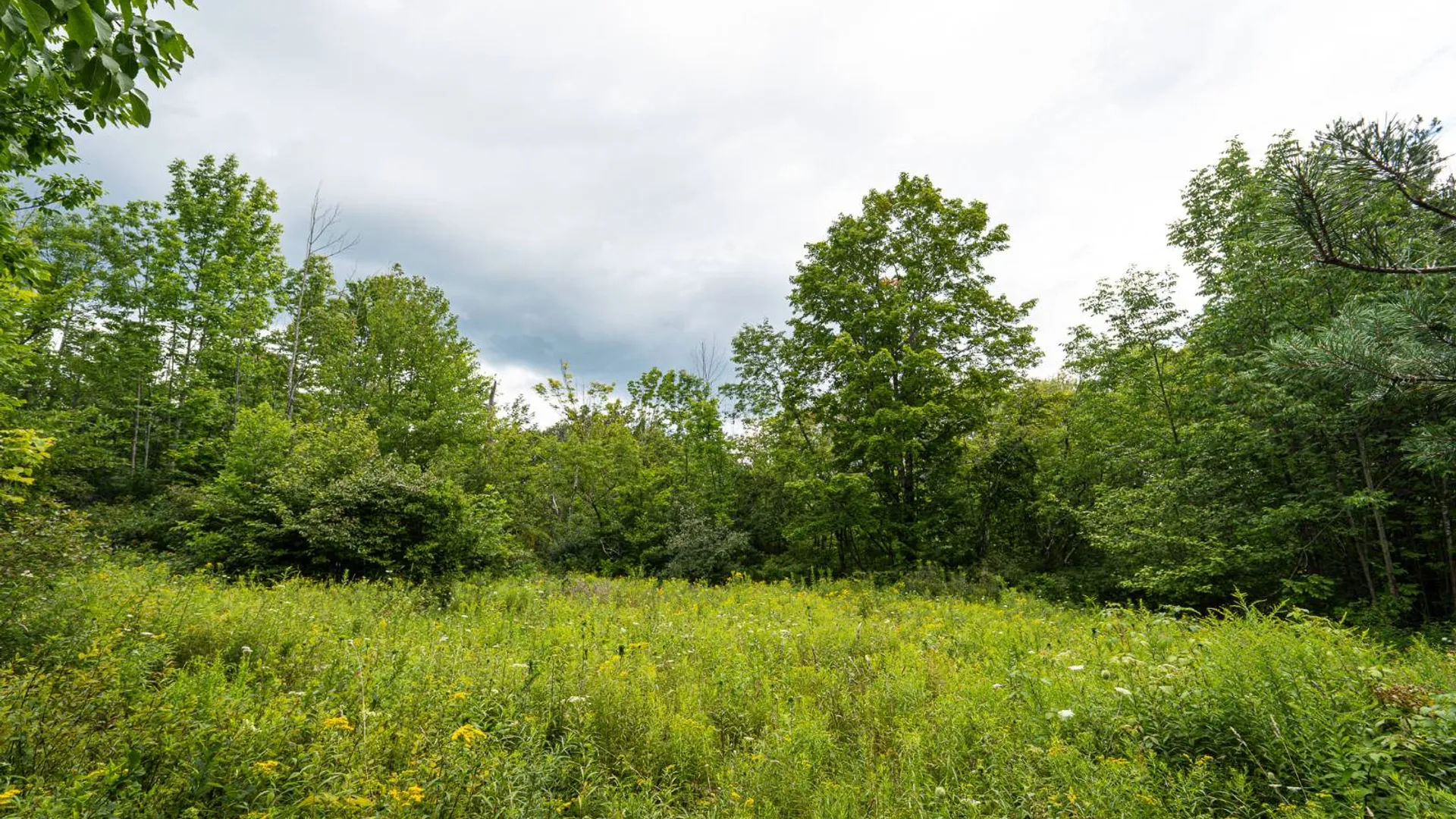 Property at 1WTP Roney Rd, Preston Hollow, NY 12469 48