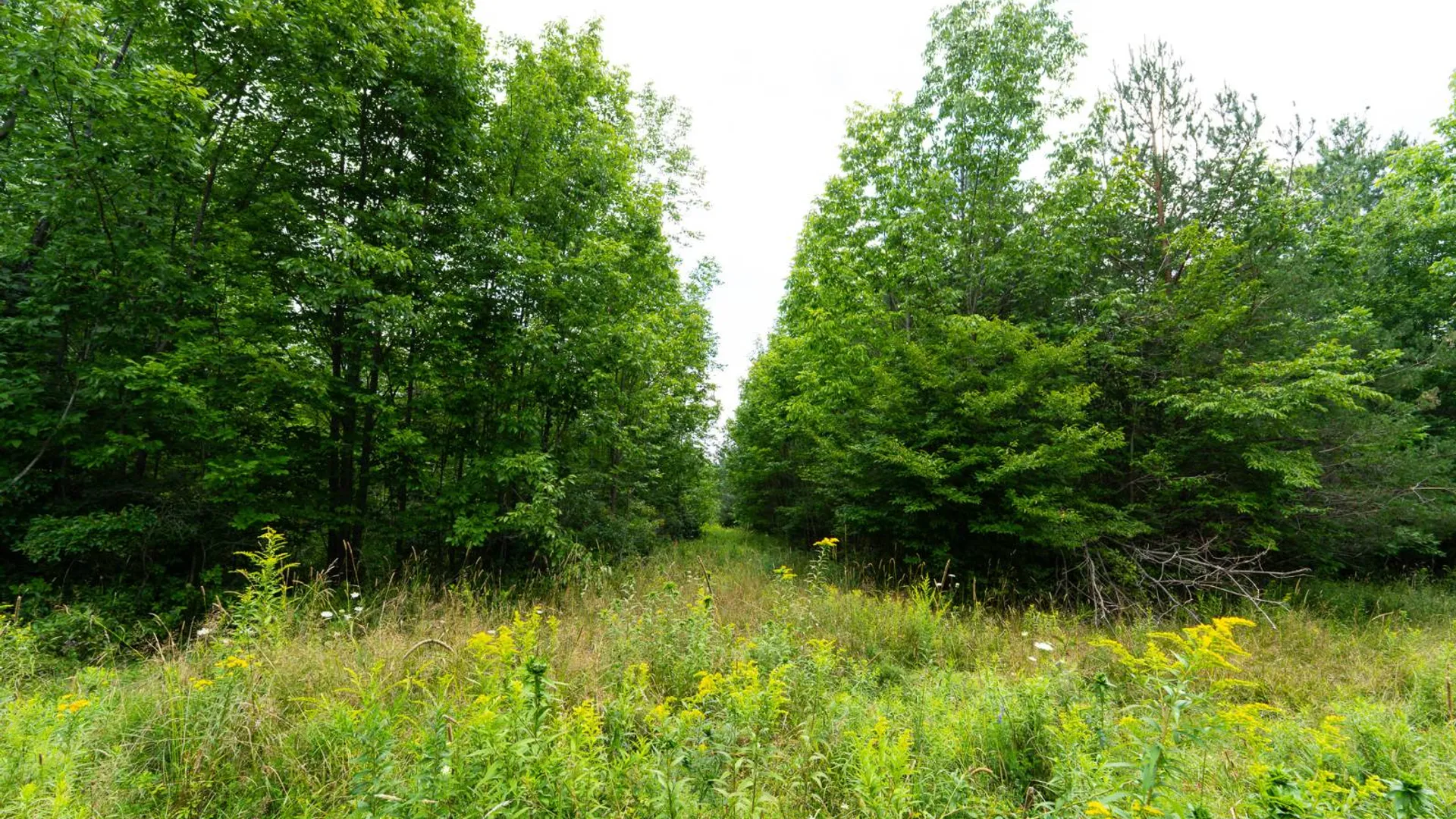 Property at 1WTP Roney Rd, Preston Hollow, NY 12469 51