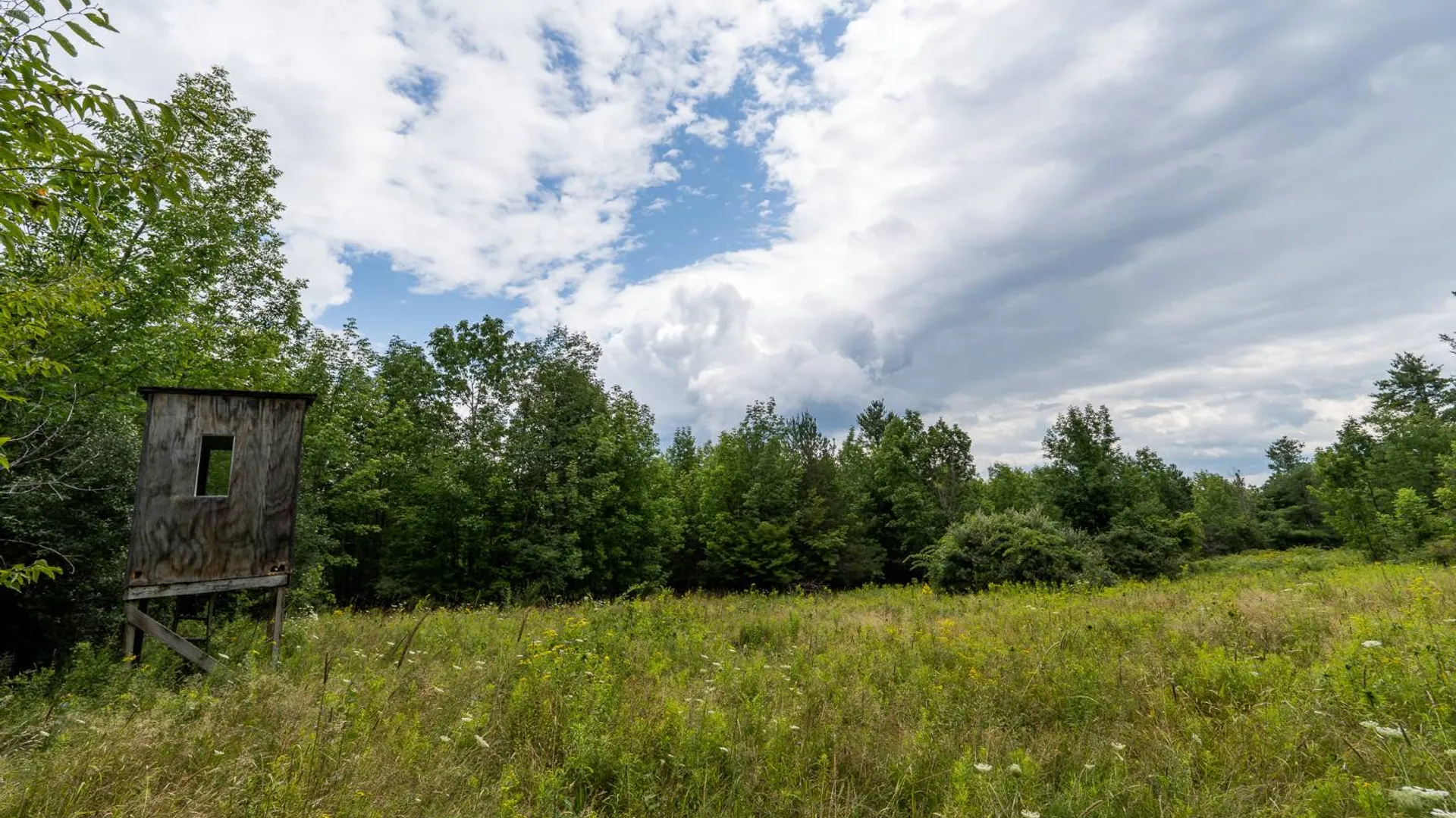 Property at 1WTP Roney Rd, Preston Hollow, NY 12469 52