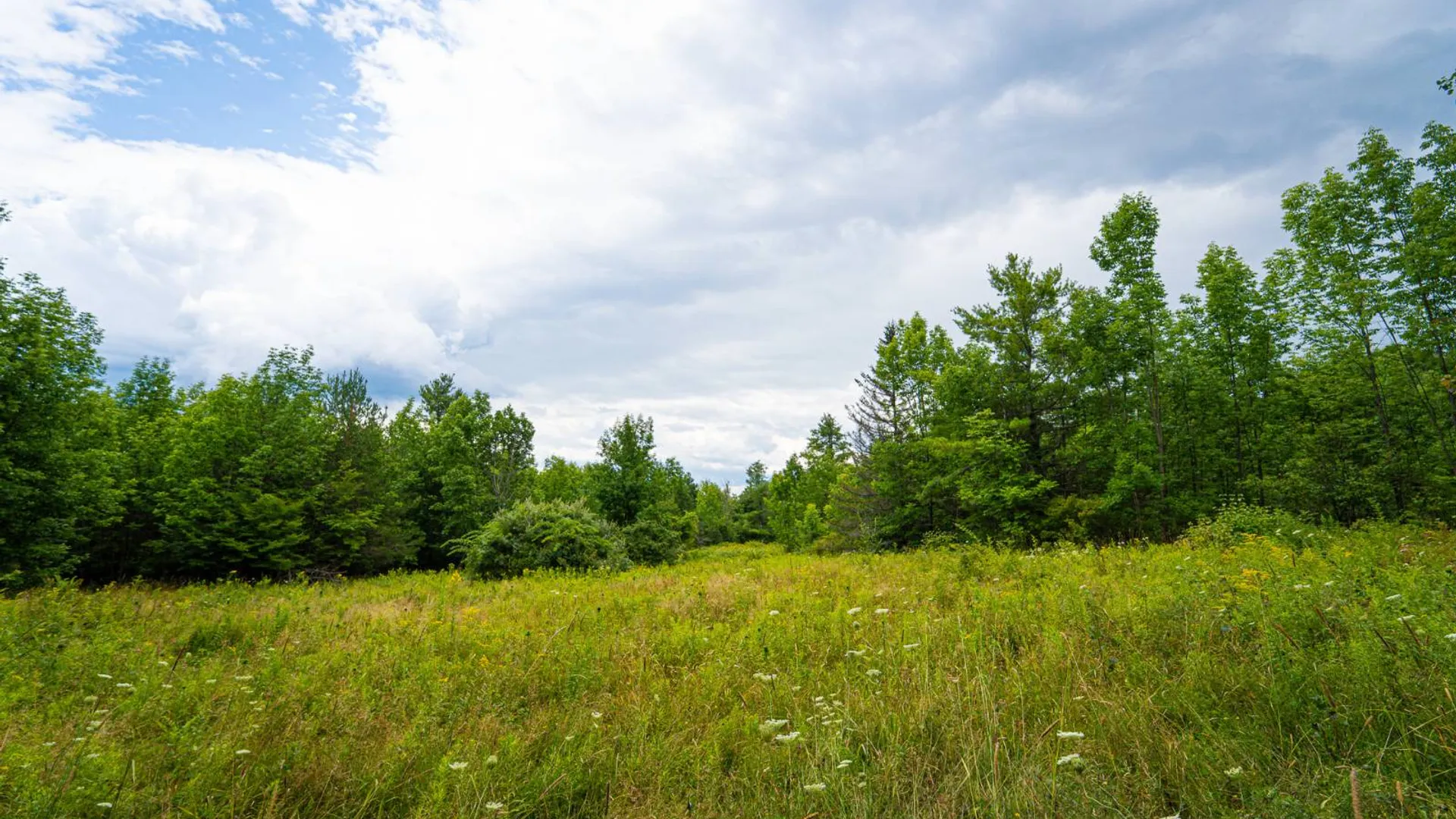Property at 1WTP Roney Rd, Preston Hollow, NY 12469 56
