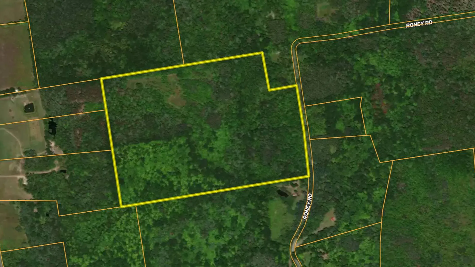 Property at 1WTP Roney Rd, Preston Hollow, NY 12469 59
